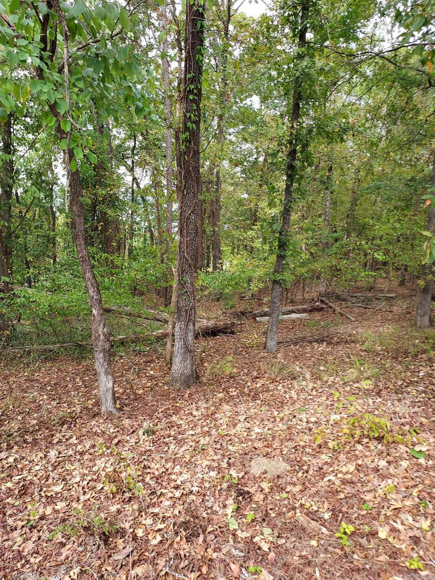 30  Darro Way  Hot Springs Village, AR