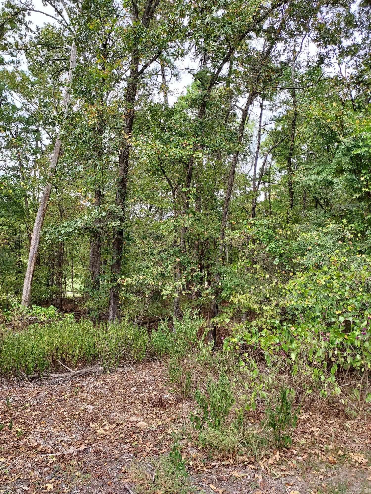 30  Darro Way  Hot Springs Village, AR
