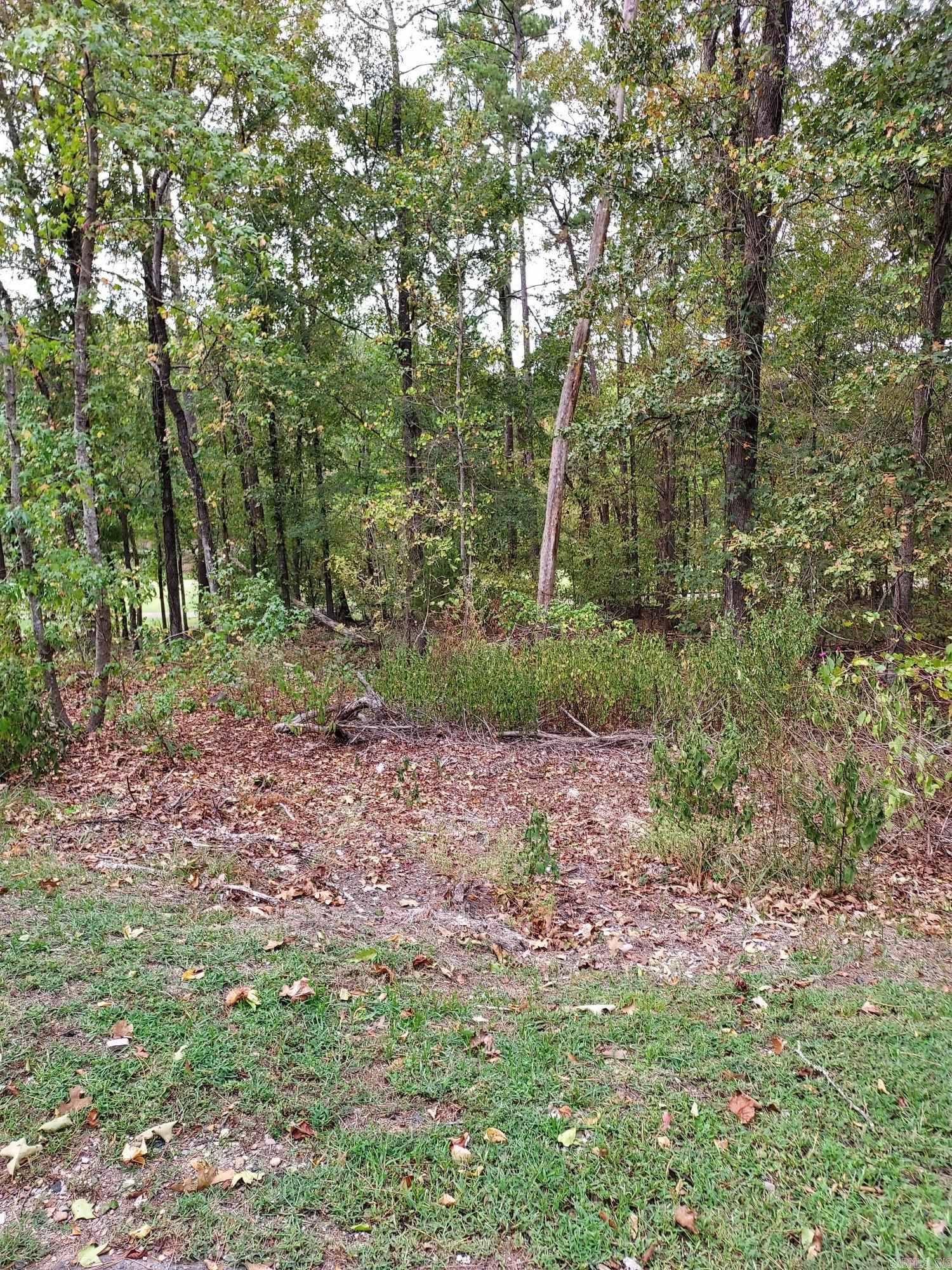 30  Darro Way  Hot Springs Village, AR