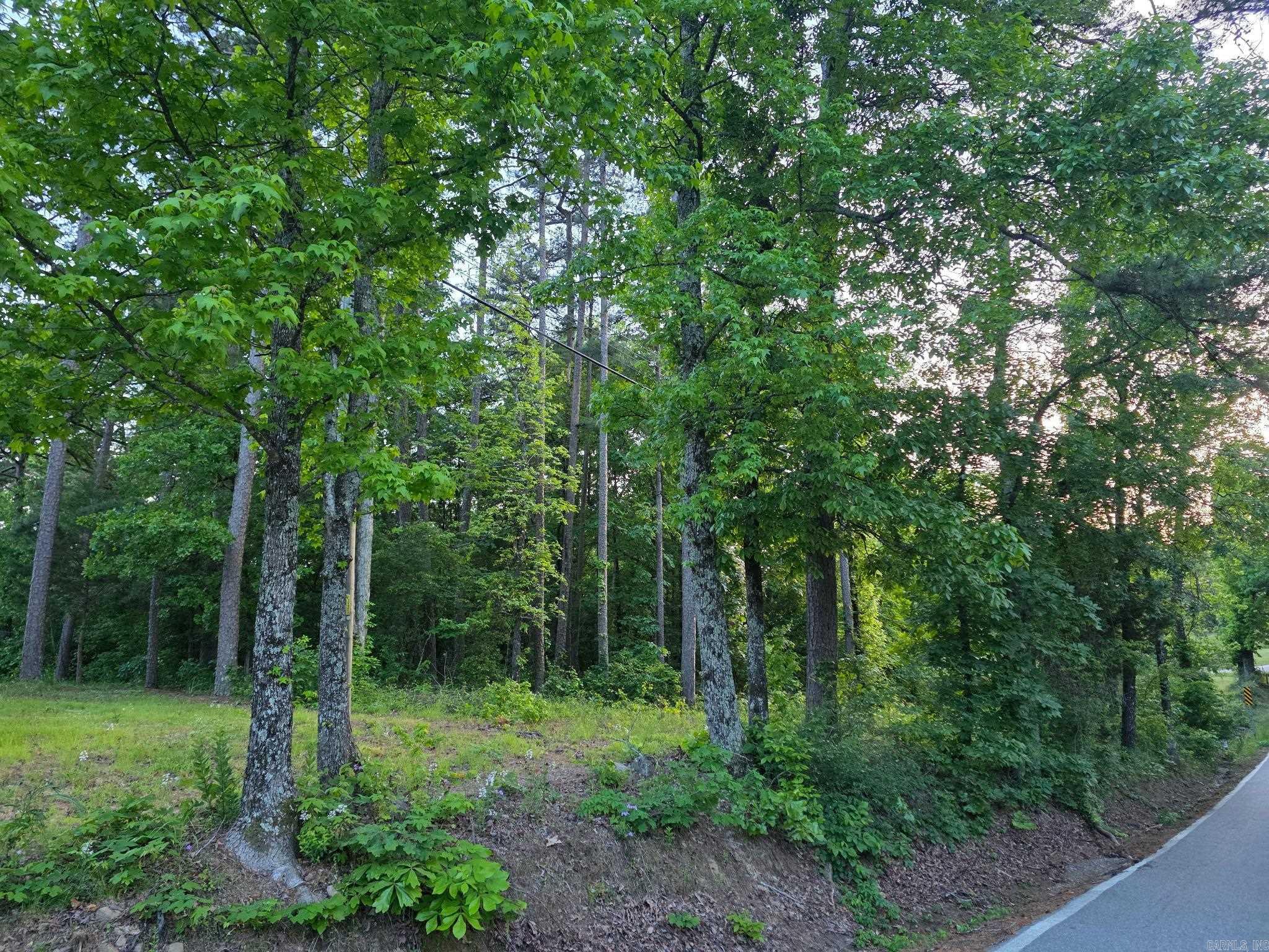 TBD  Highway 300  Bigelow, AR
