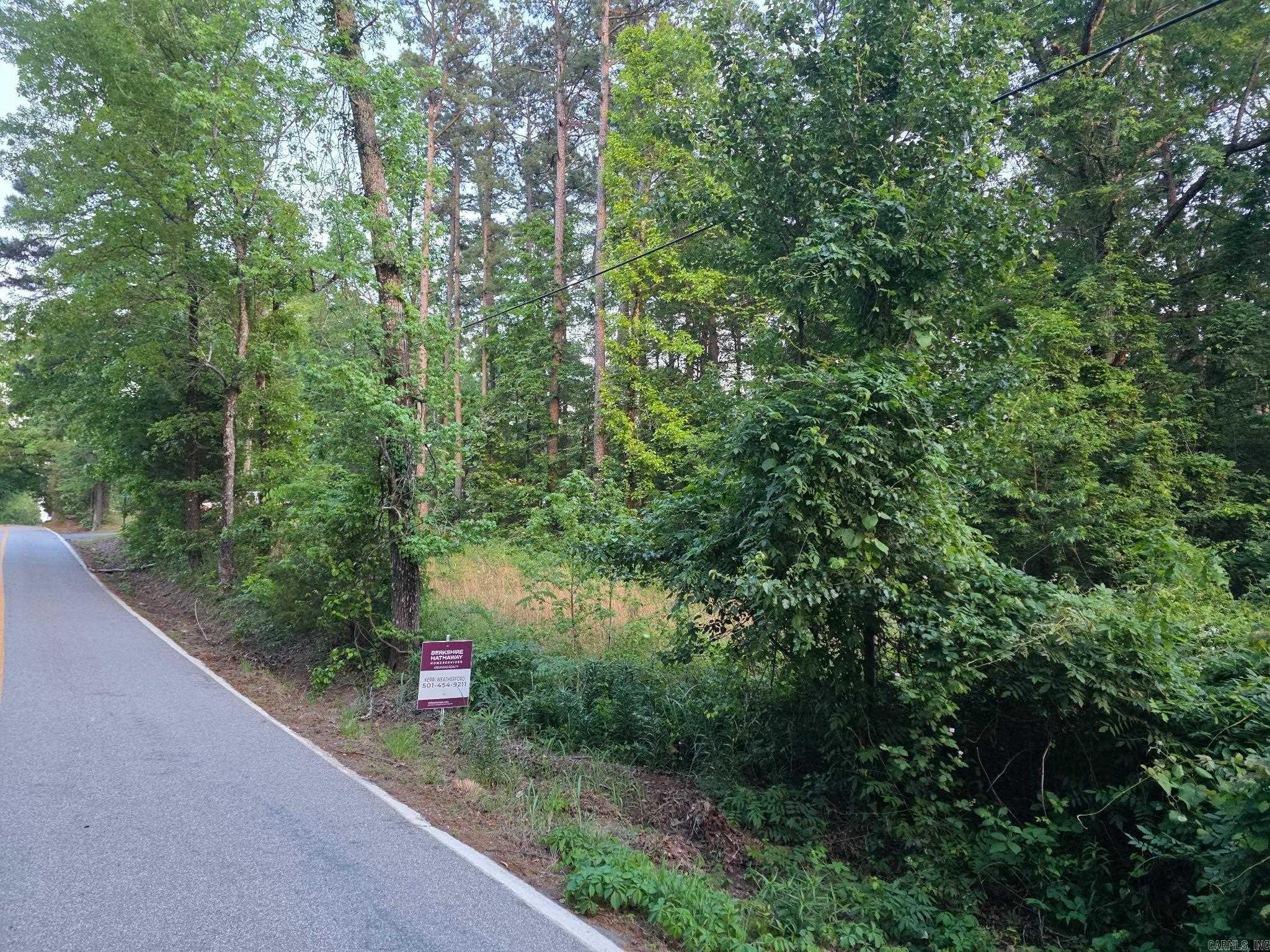 TBD  Highway 300  Bigelow, AR