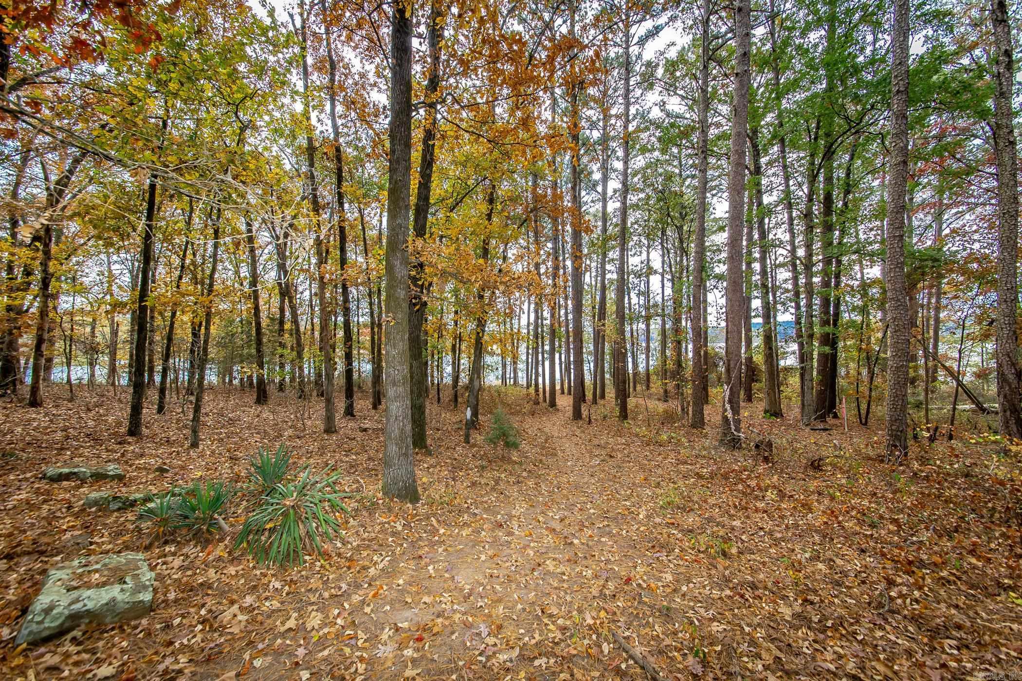 324  Valhalla  Edgemont, AR