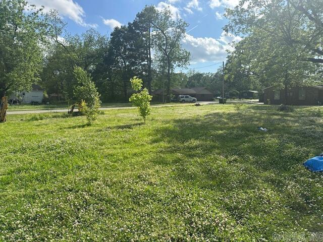 704 & 706  Eagle St  Lonoke, AR