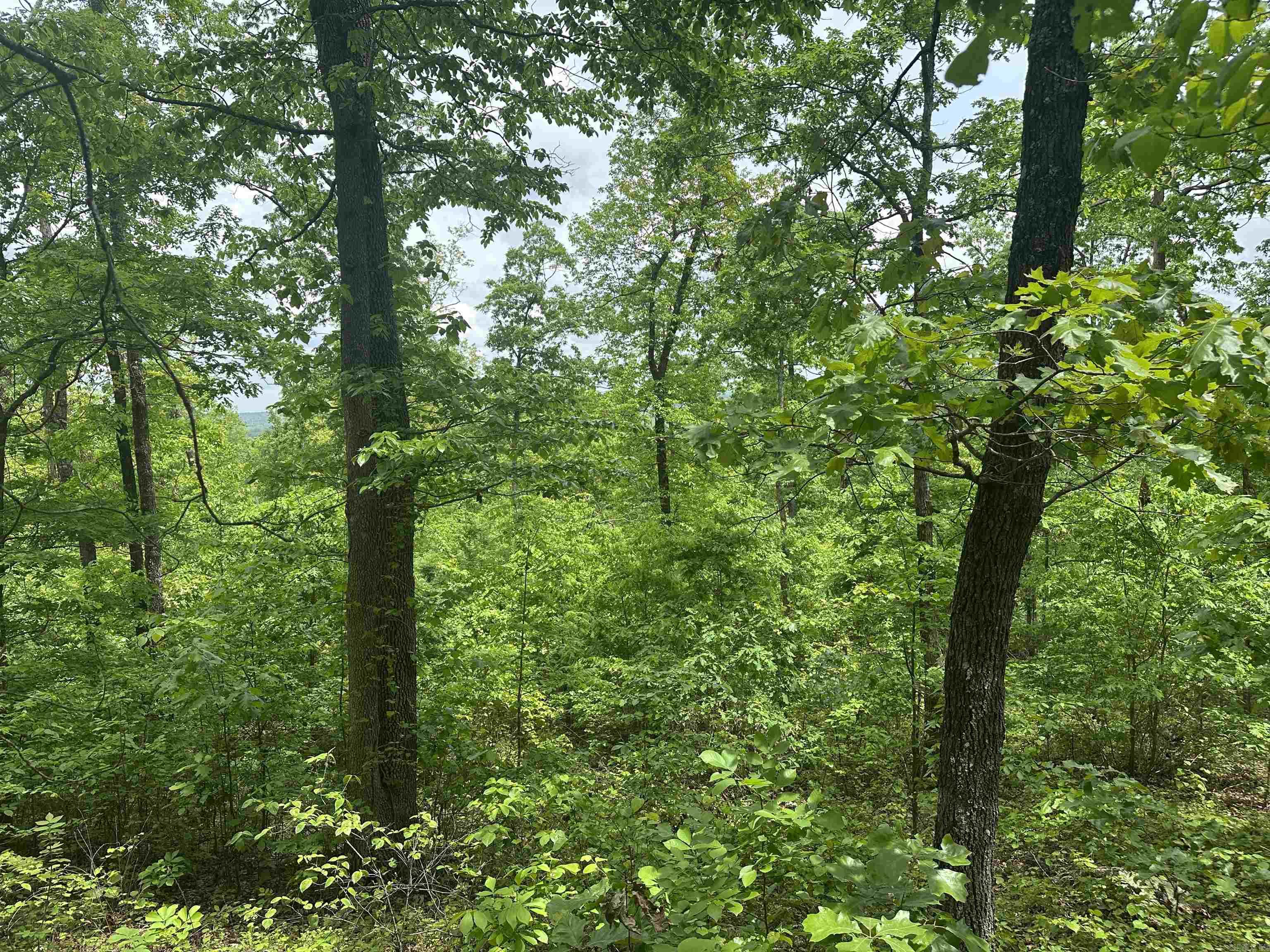 000  Holly Mtn Rd  Clinton, AR
