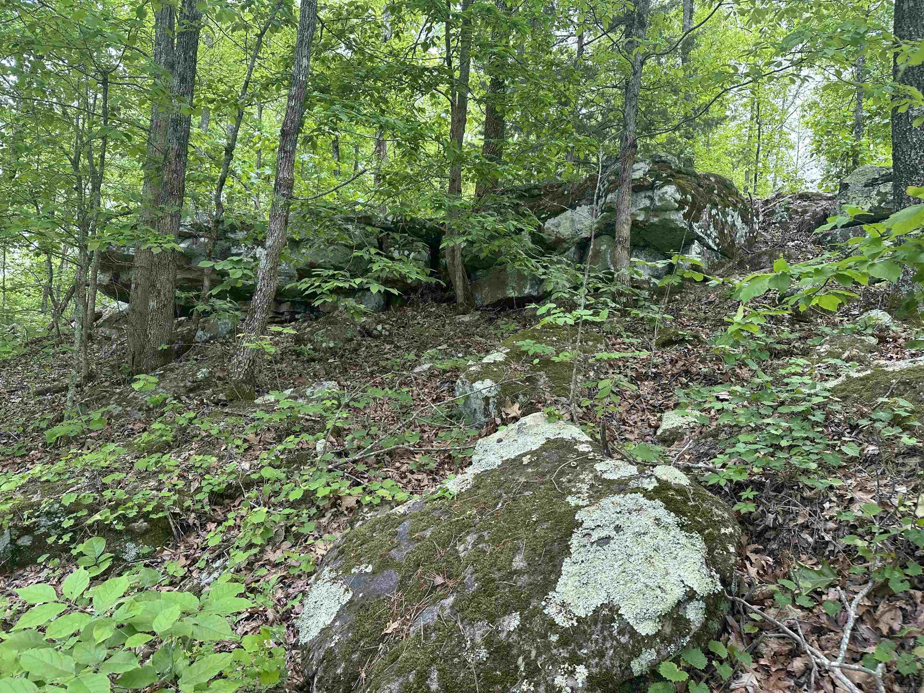 000 Holley Mtn Rd  Clinton, AR