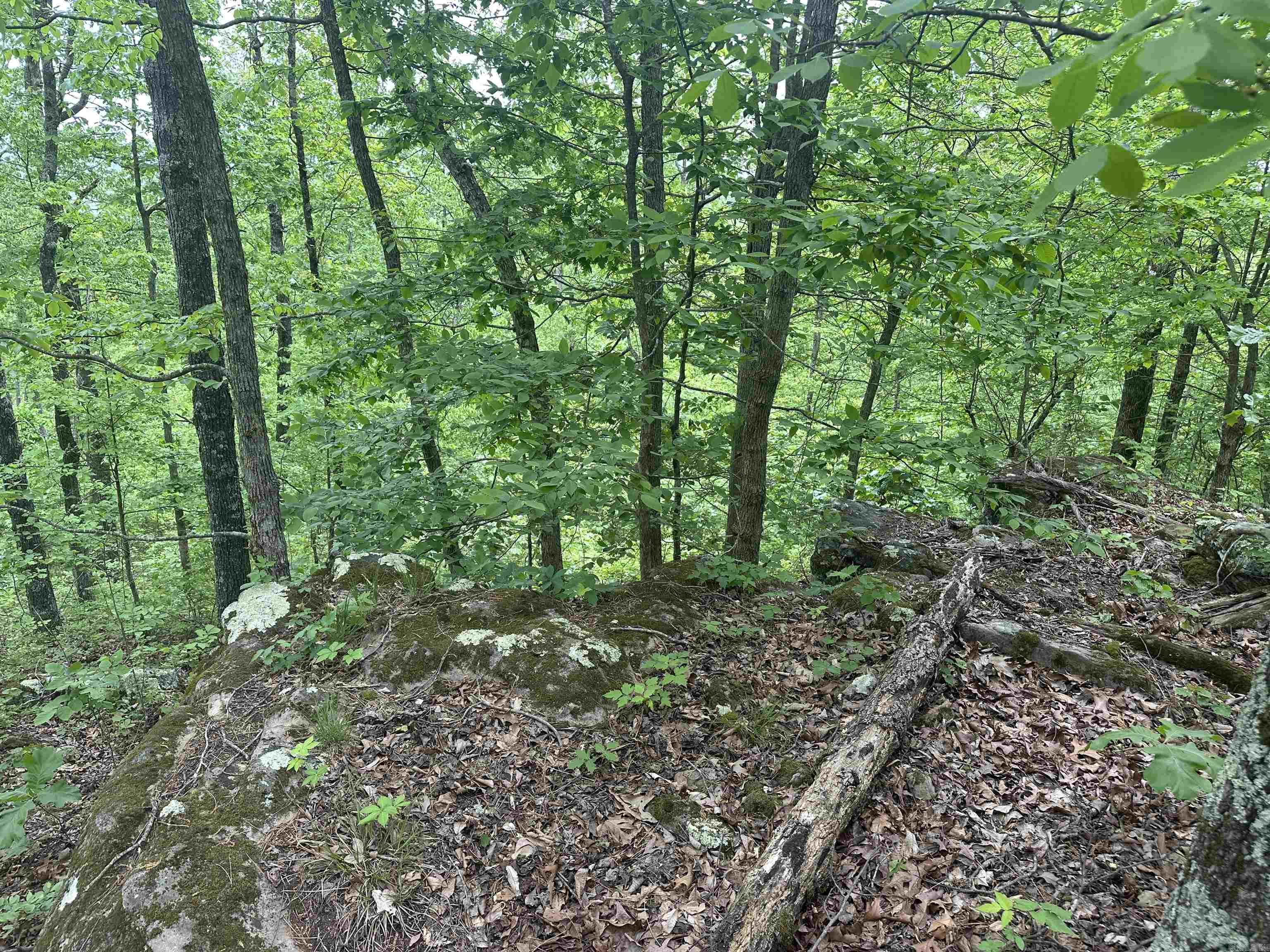 000  Holly Mtn Rd  Clinton, AR