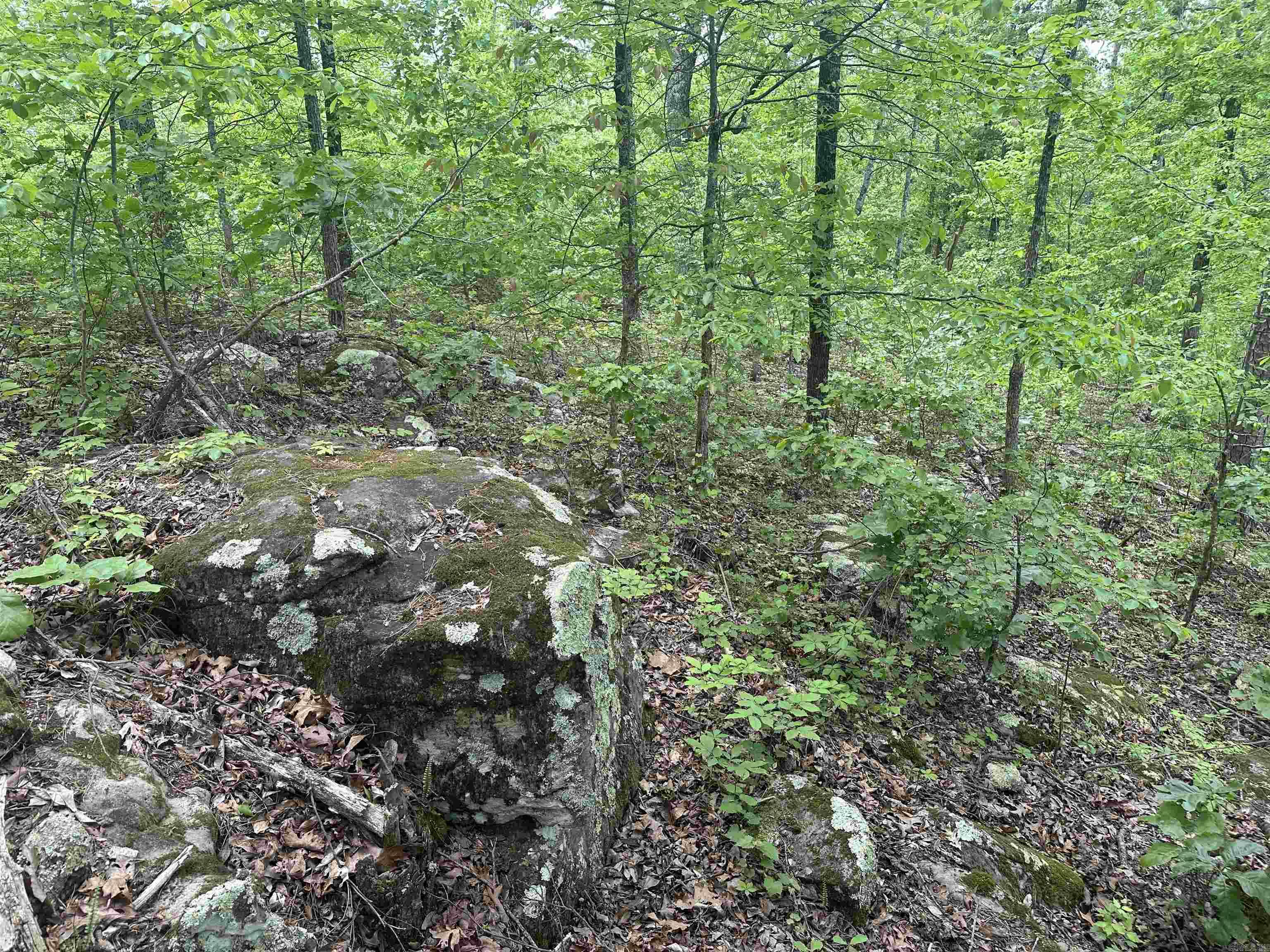 000  Holly Mtn Rd  Clinton, AR