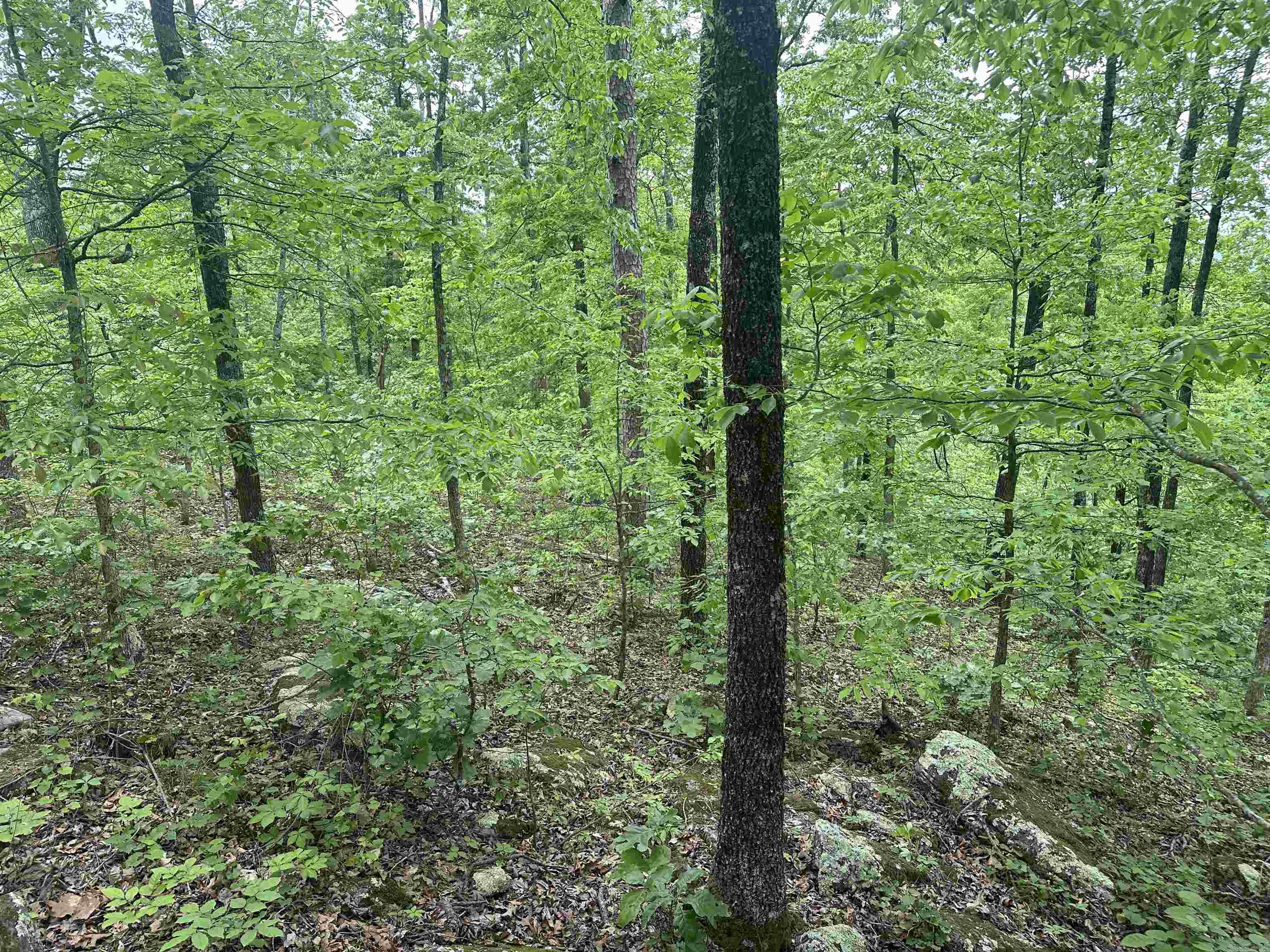 000  Holly Mtn Rd  Clinton, AR
