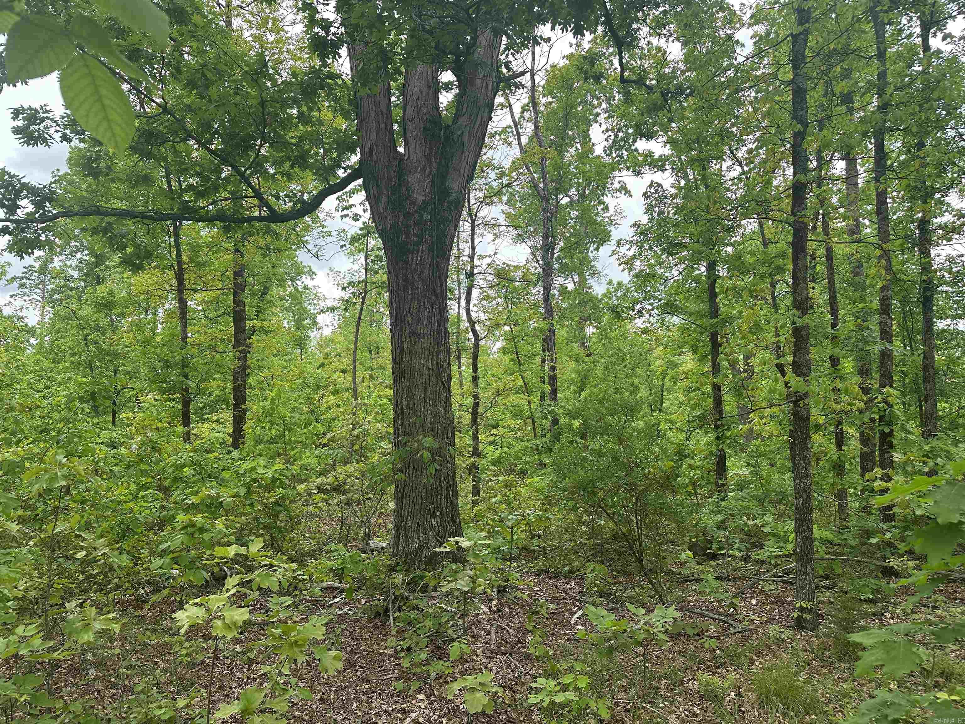 000  Holly Mtn Rd  Clinton, AR