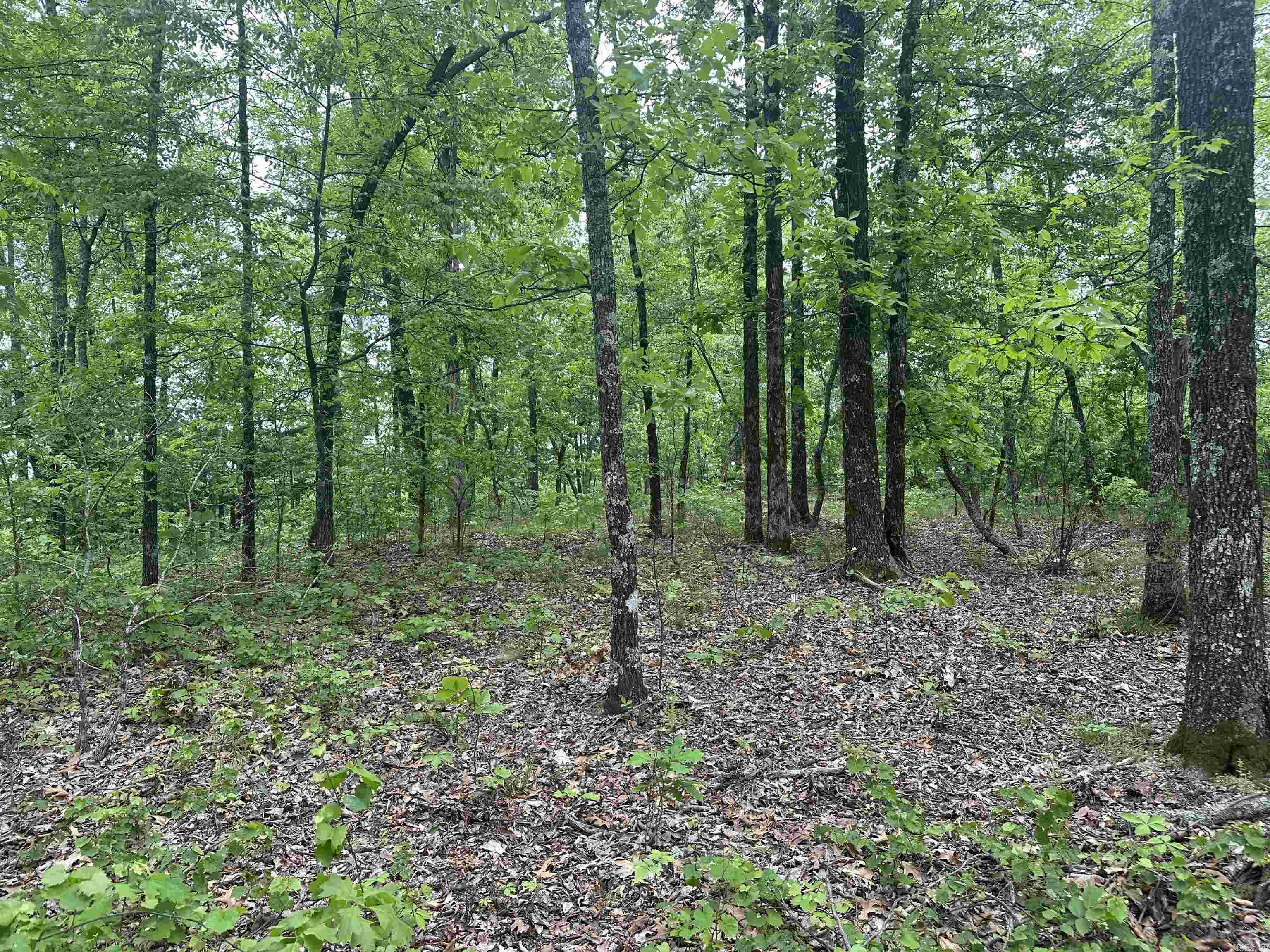 000  Holly Mtn Rd  Clinton, AR