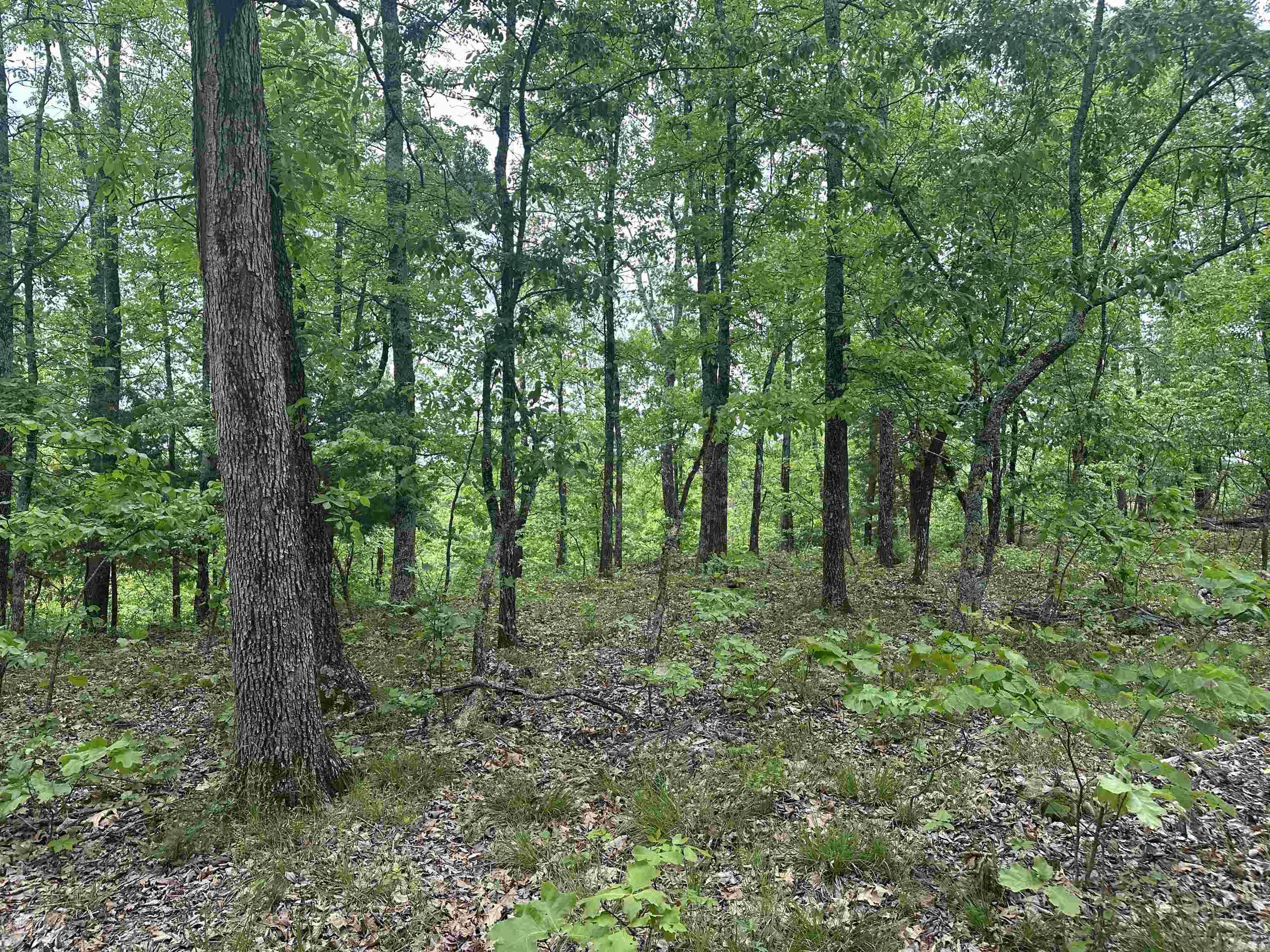 000  Holly Mtn Rd  Clinton, AR