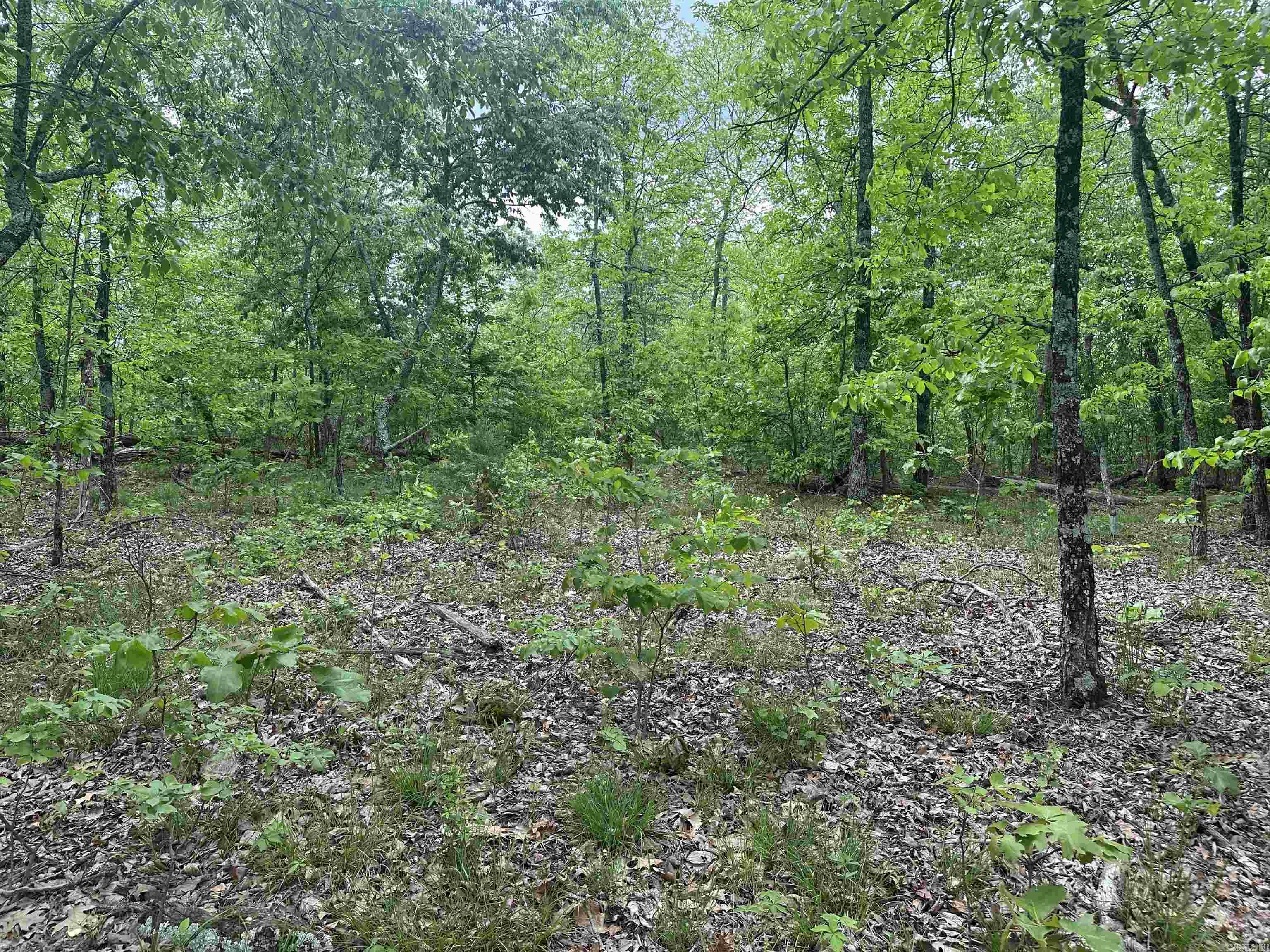 000  Holly Mtn Rd  Clinton, AR