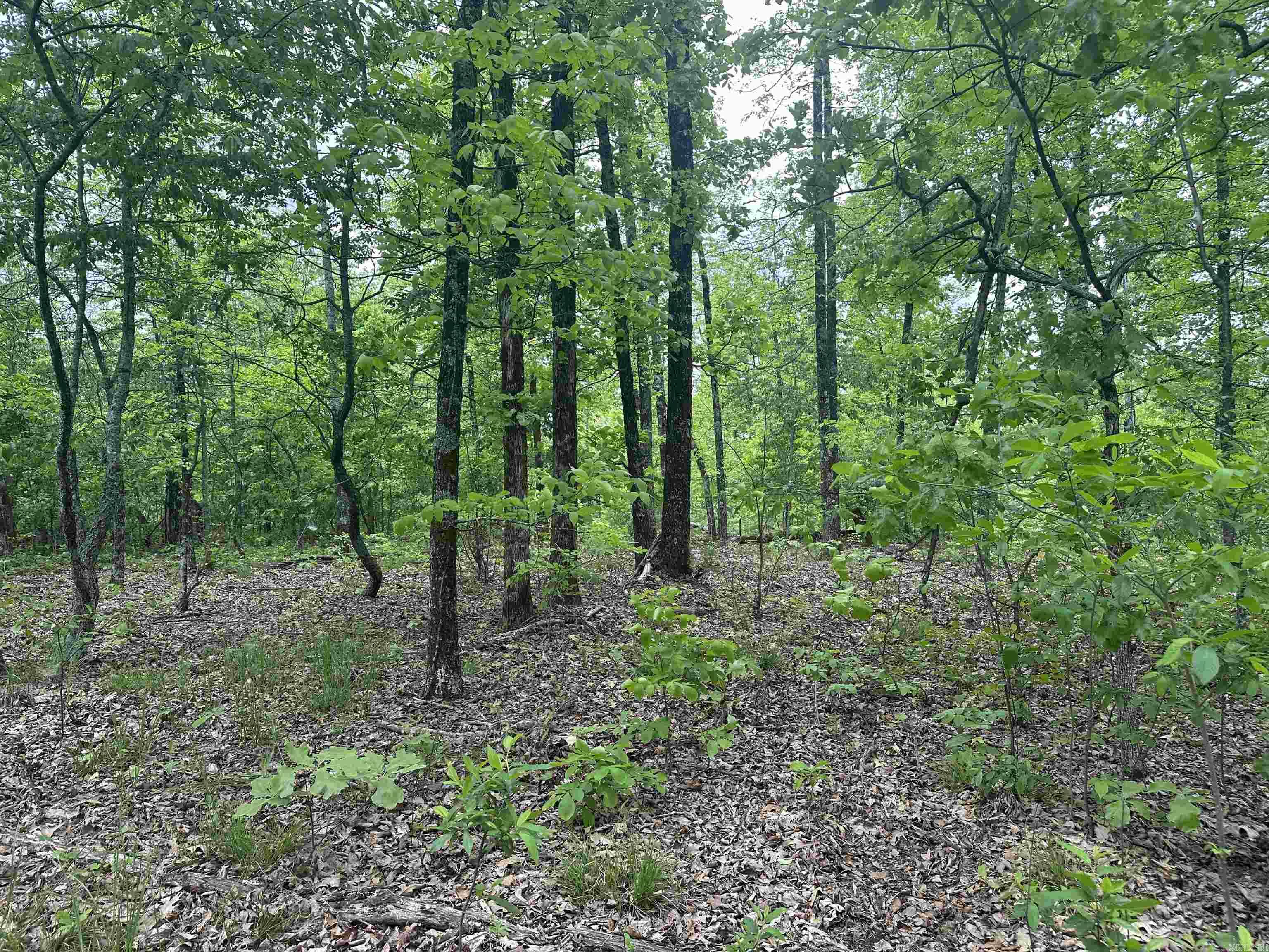 000  Holly Mtn Rd  Clinton, AR