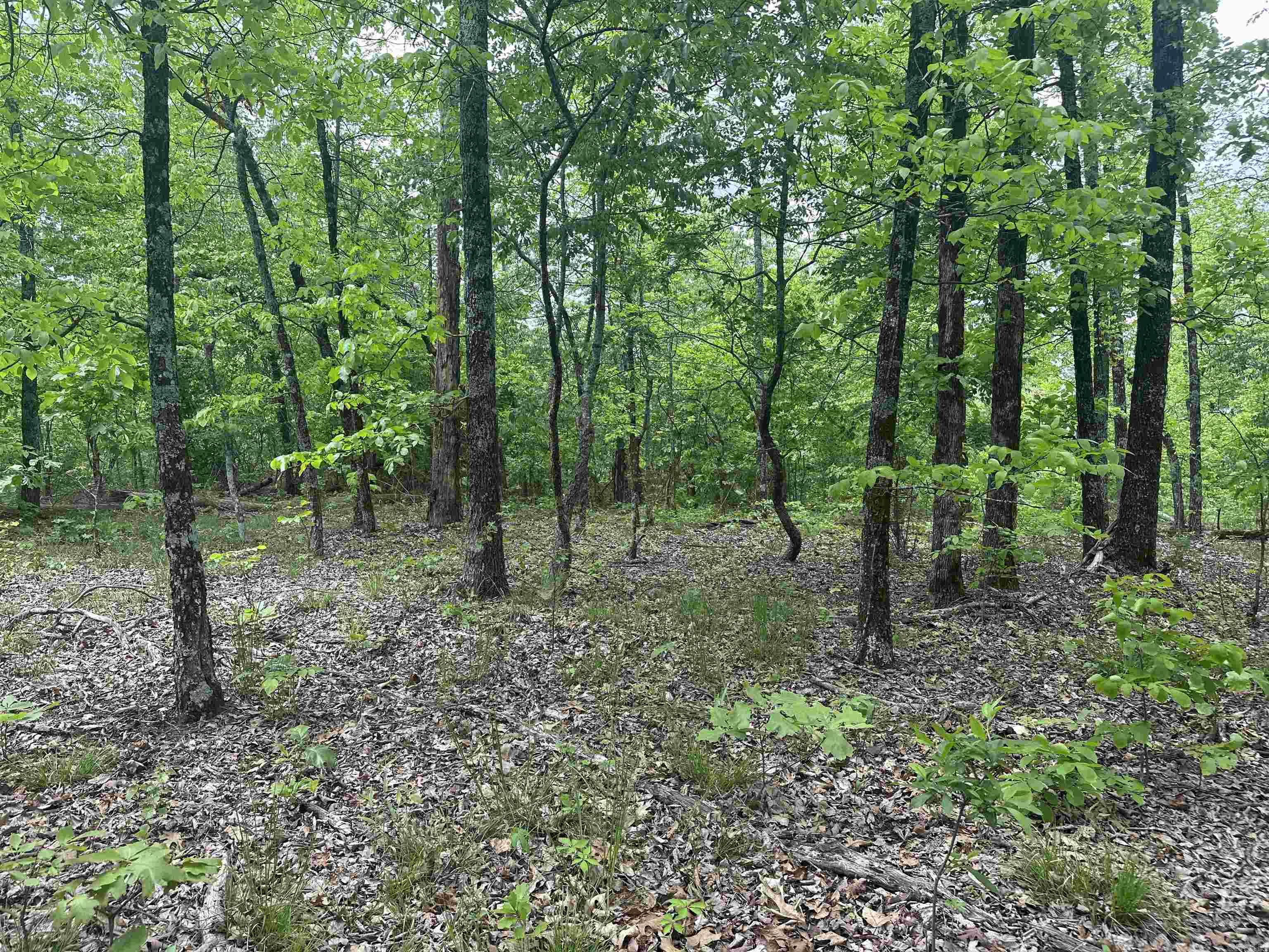 000  Holly Mtn Rd  Clinton, AR