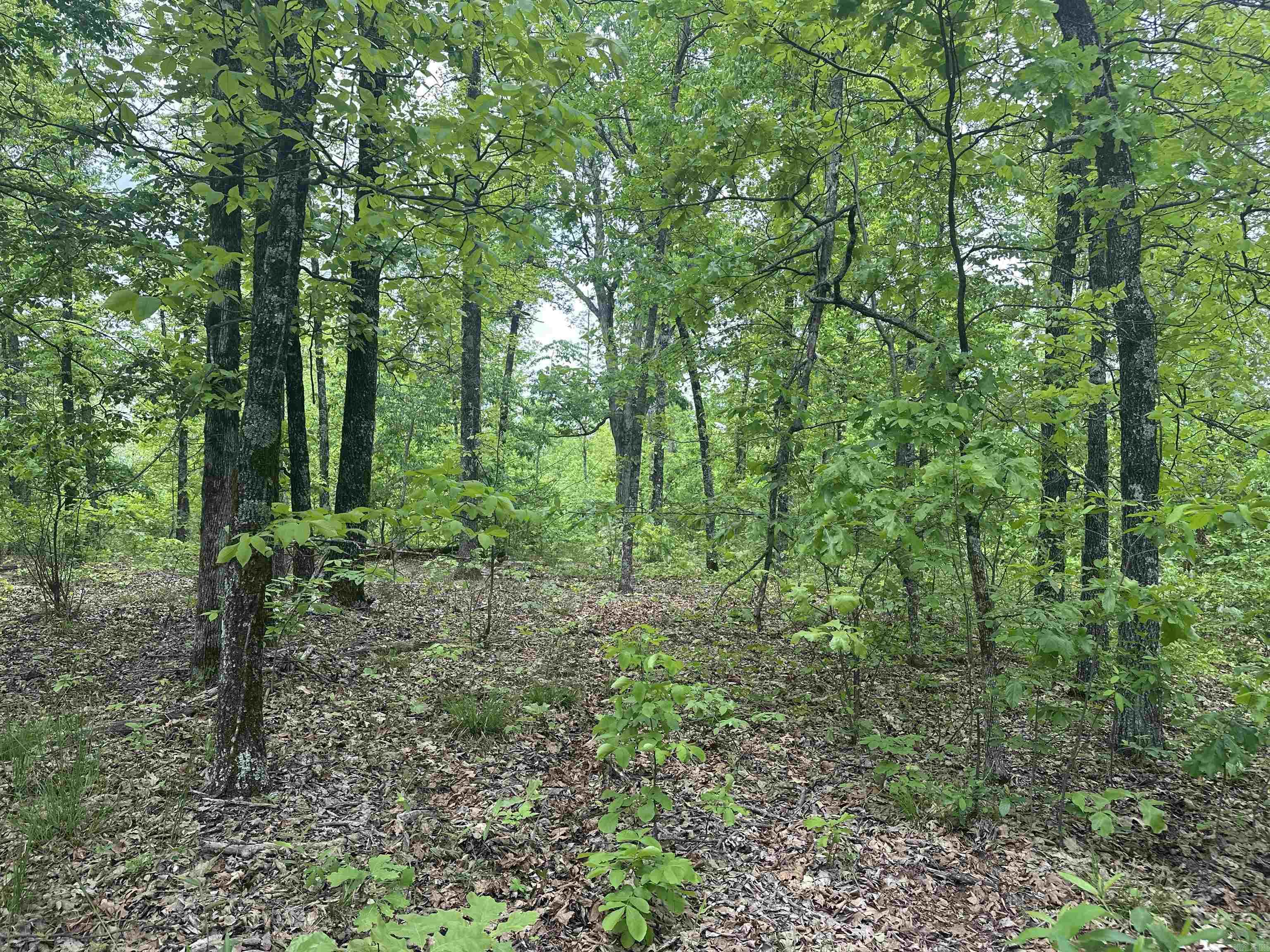 000  Holly Mtn Rd  Clinton, AR