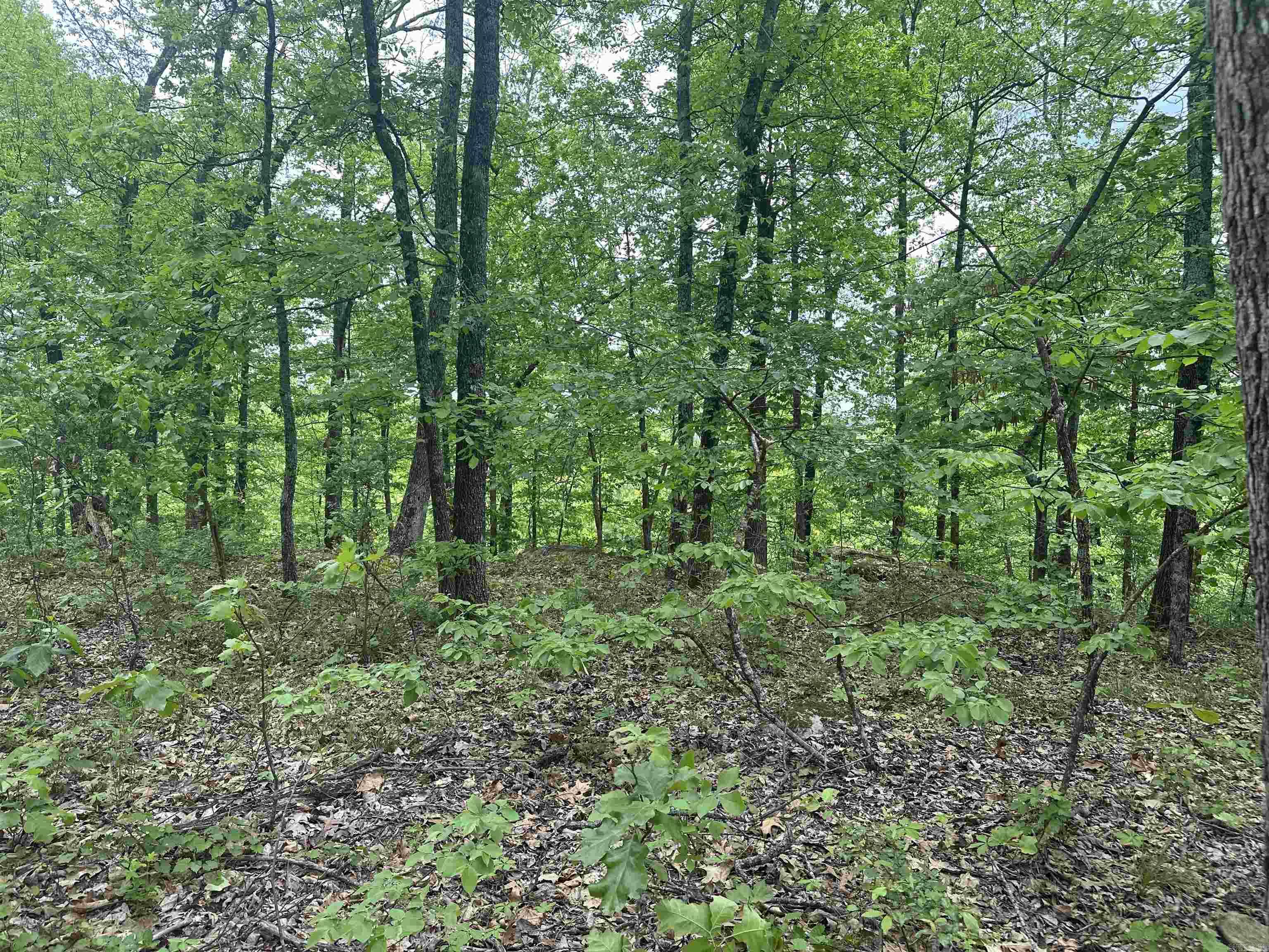 000  Holly Mtn Rd  Clinton, AR