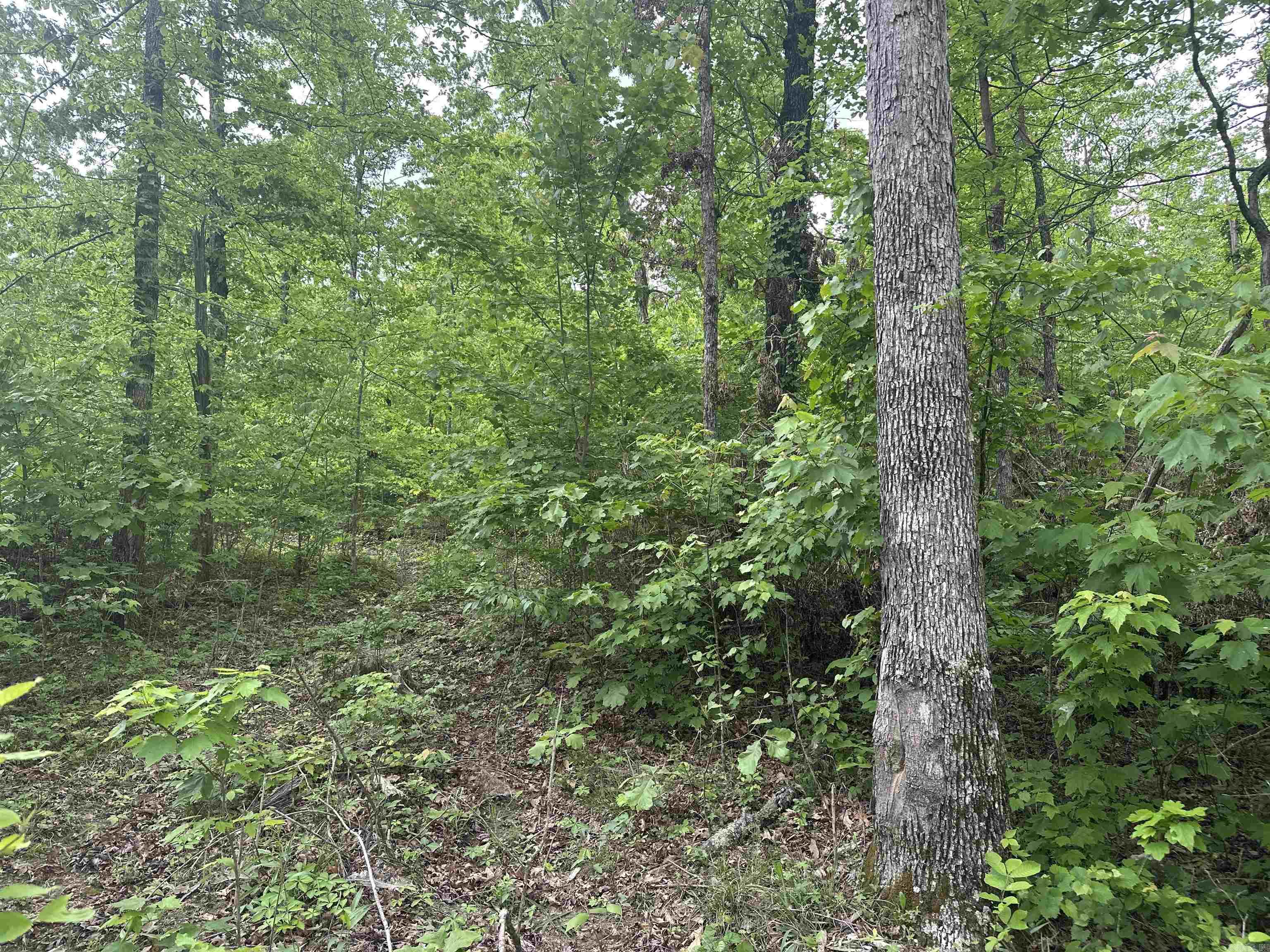 000 Holley Mtn Rd  Clinton, AR