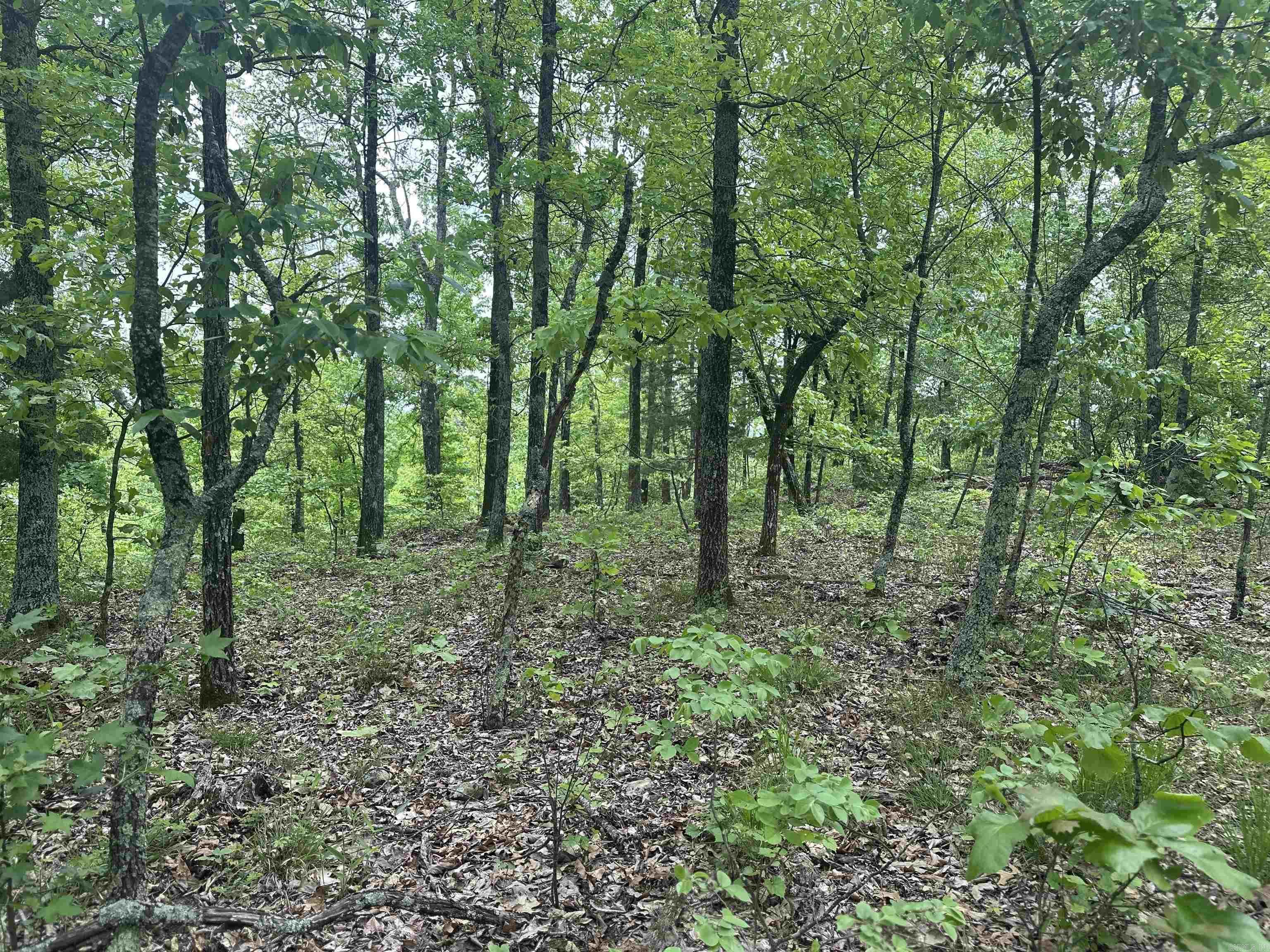 000  Holly Mtn Rd  Clinton, AR