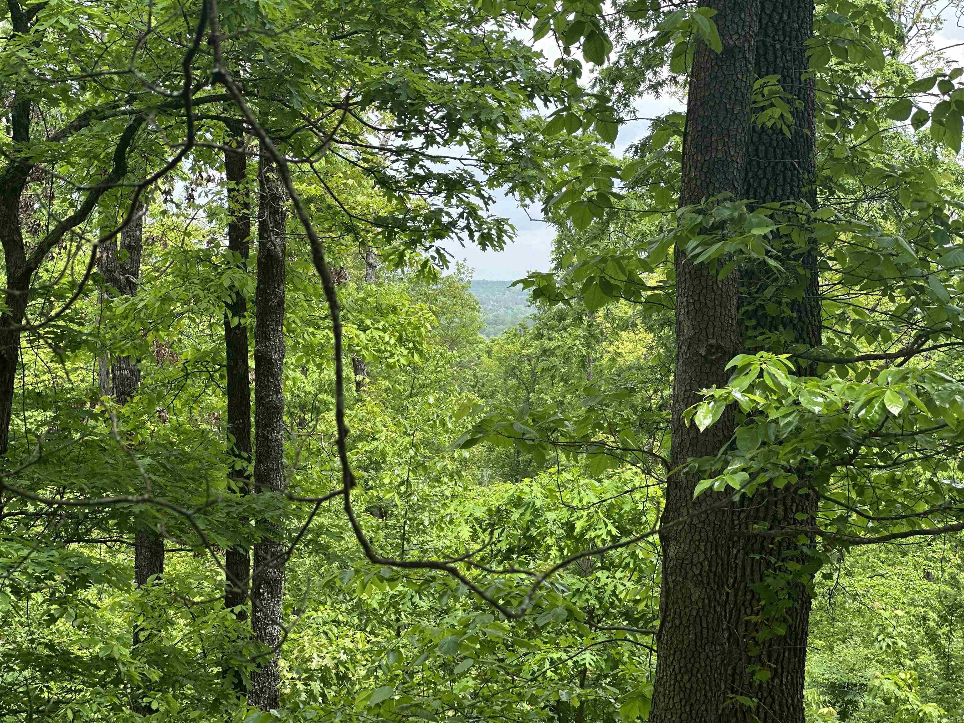 000  Holly Mtn Rd  Clinton, AR