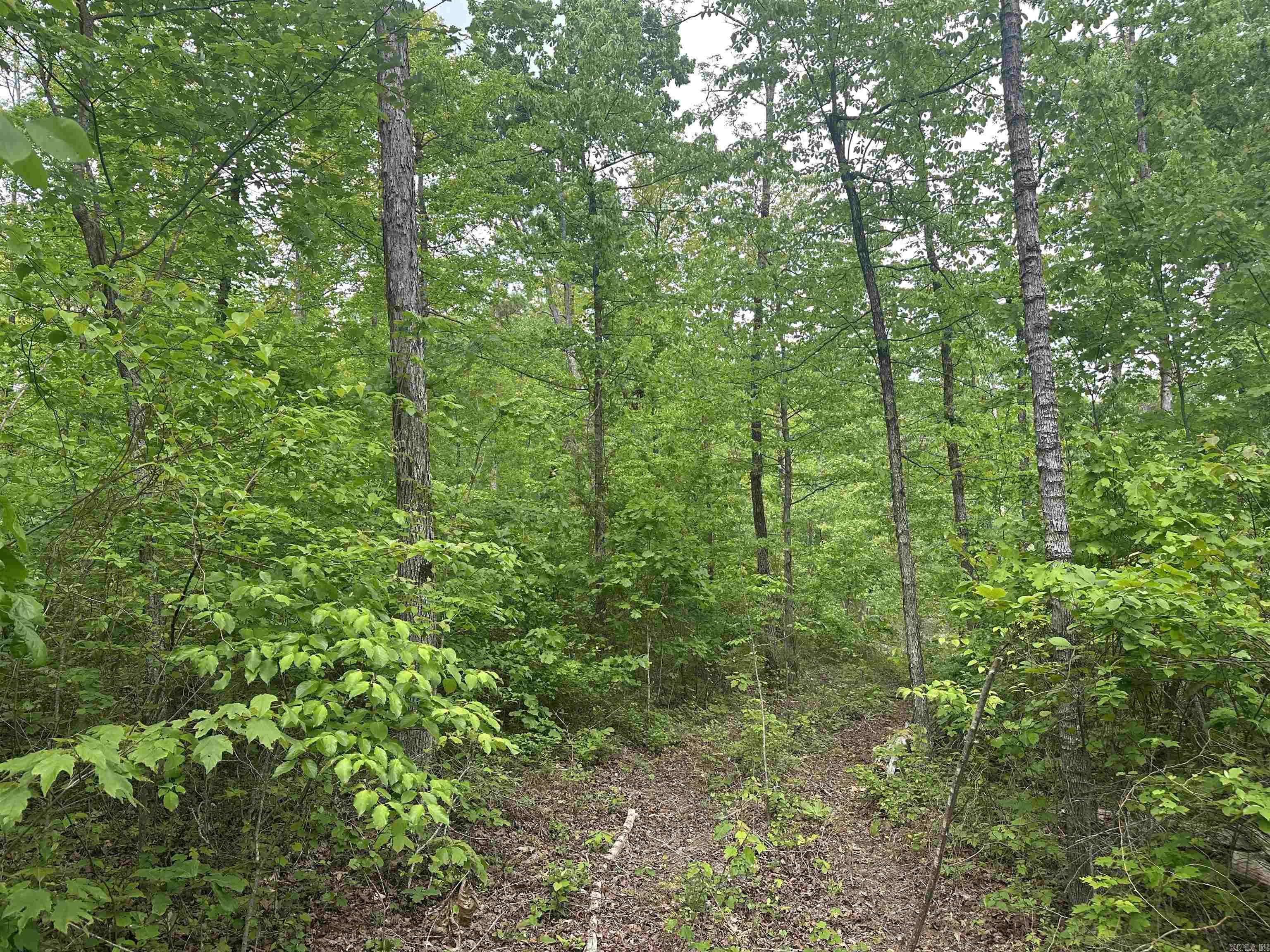 000  Holly Mtn Rd  Clinton, AR