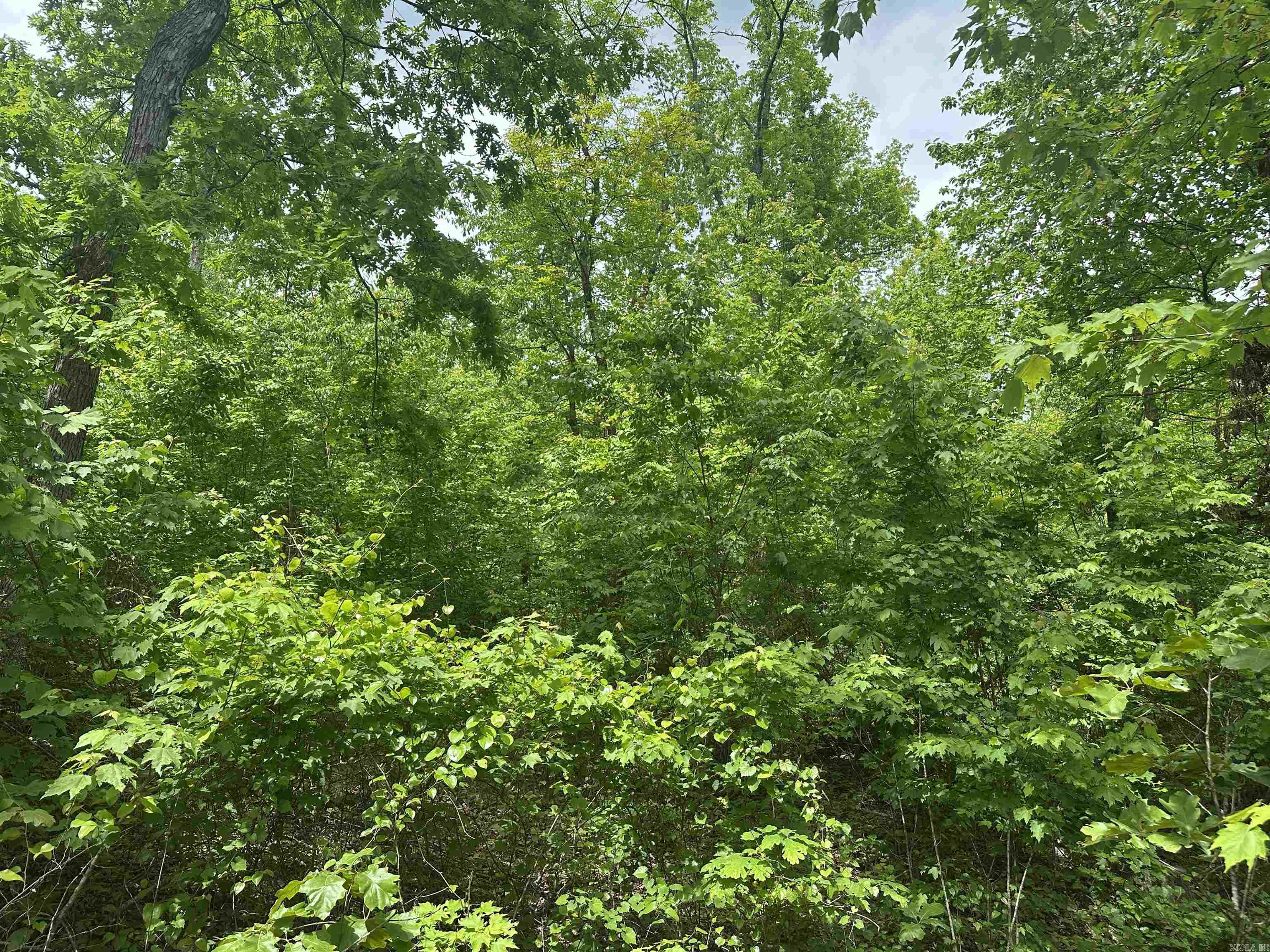 000  Holly Mtn Rd  Clinton, AR