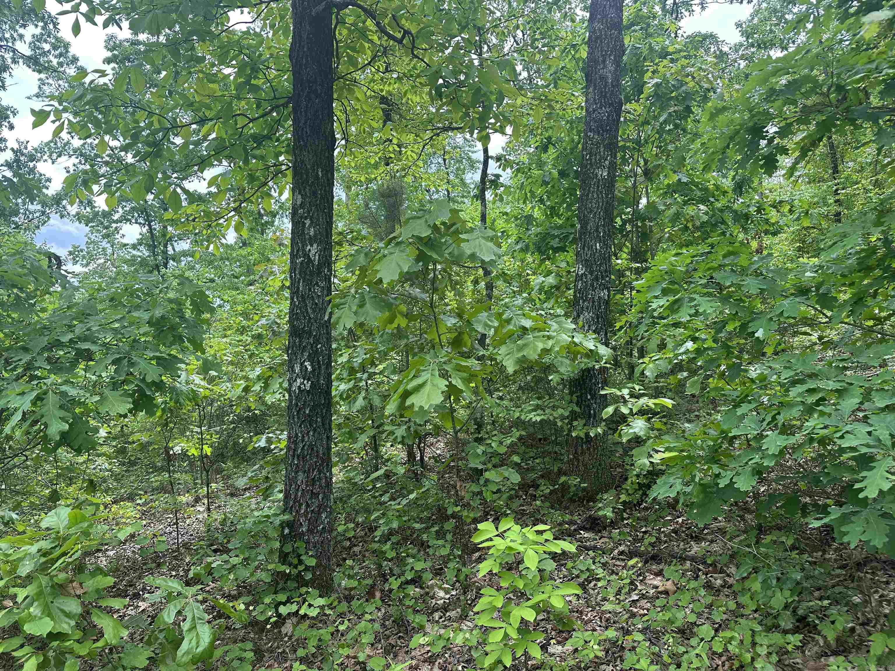 000  Holly Mtn Rd  Clinton, AR
