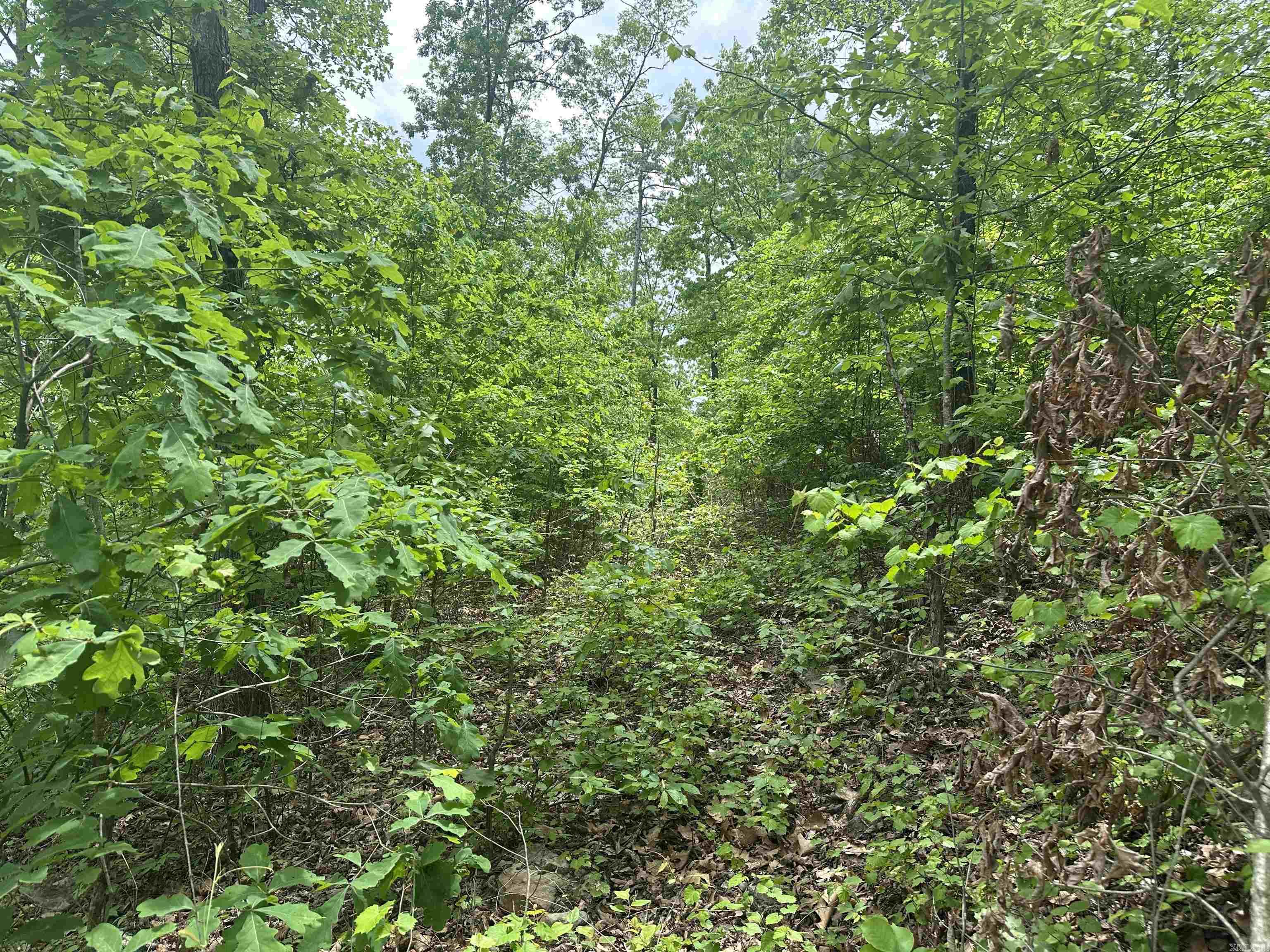 000  Holly Mtn Rd  Clinton, AR