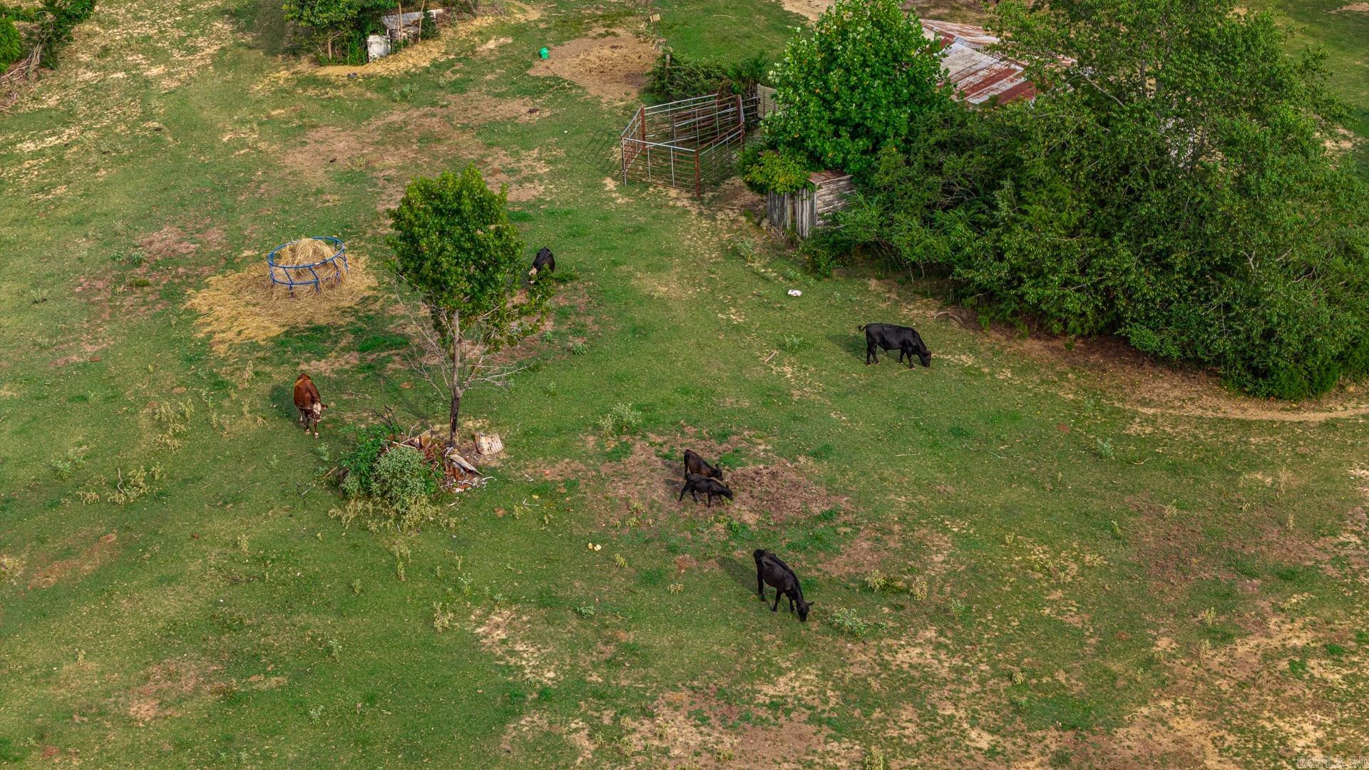 19839 Greenfield Road Harrisburg, AR 72432