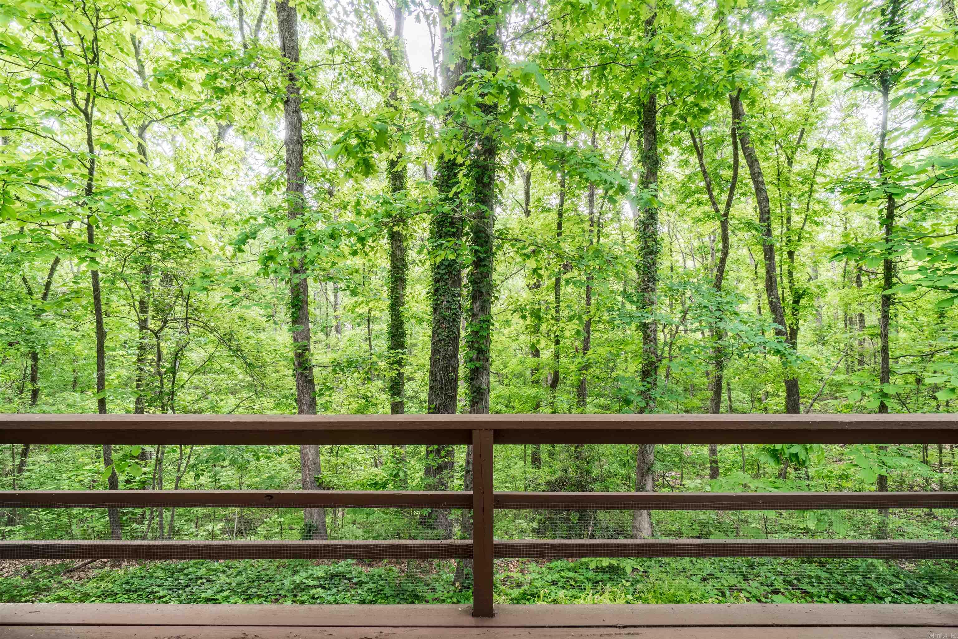 128  Emperado Way  Hot Springs Village, AR