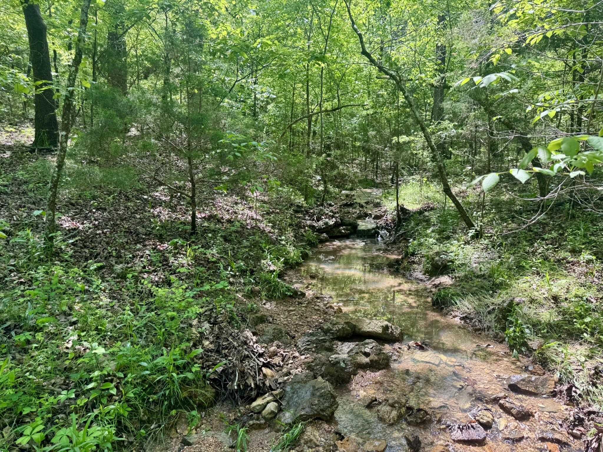 10A Kiowa Circle  Hardy, AR
