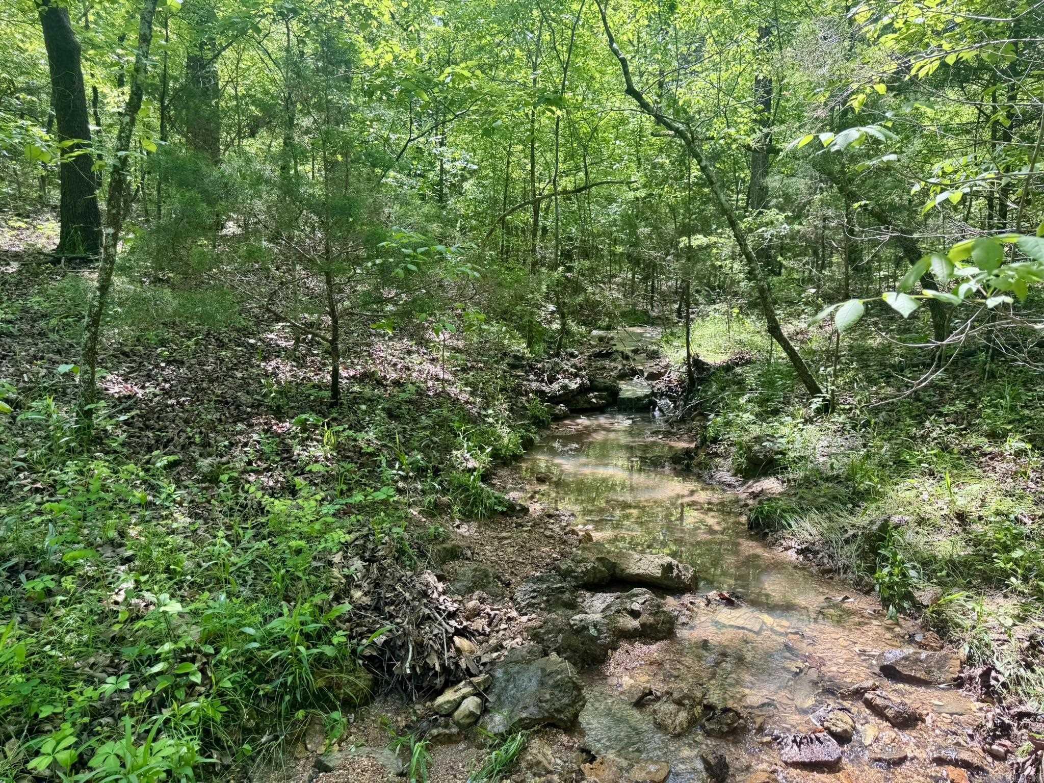 10A  Kiowa Circle  Hardy, AR