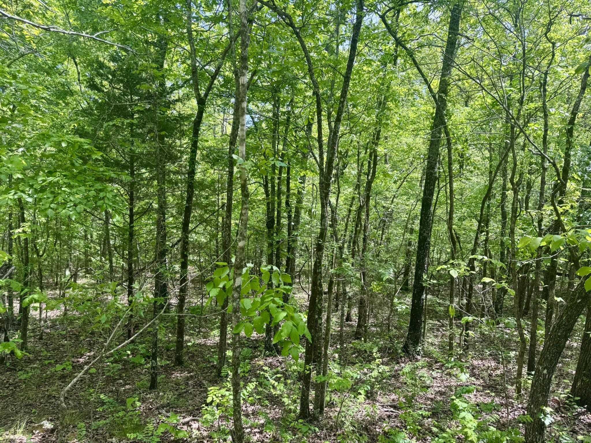 10A  Kiowa Circle  Hardy, AR