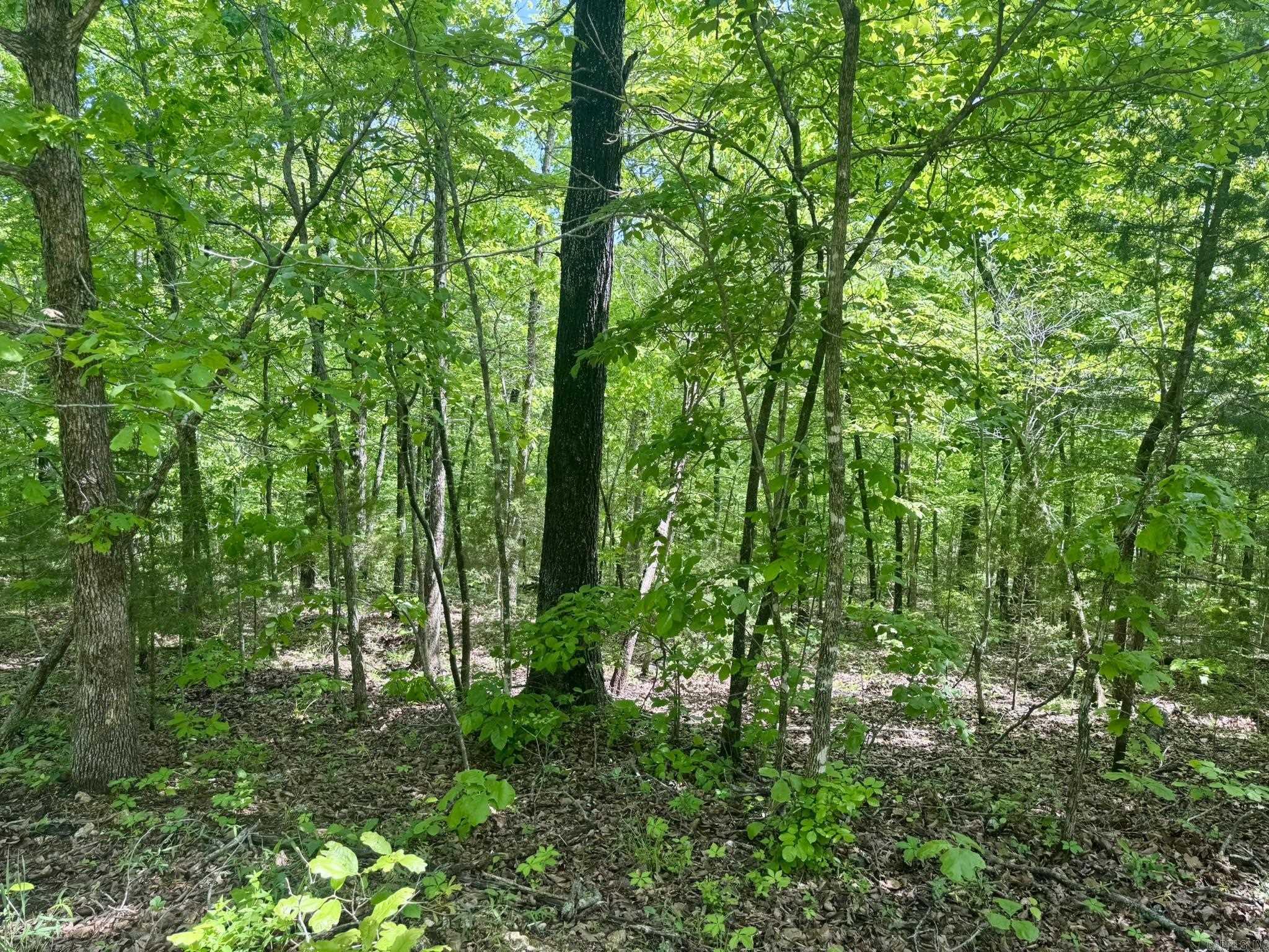 10A  Kiowa Circle  Hardy, AR