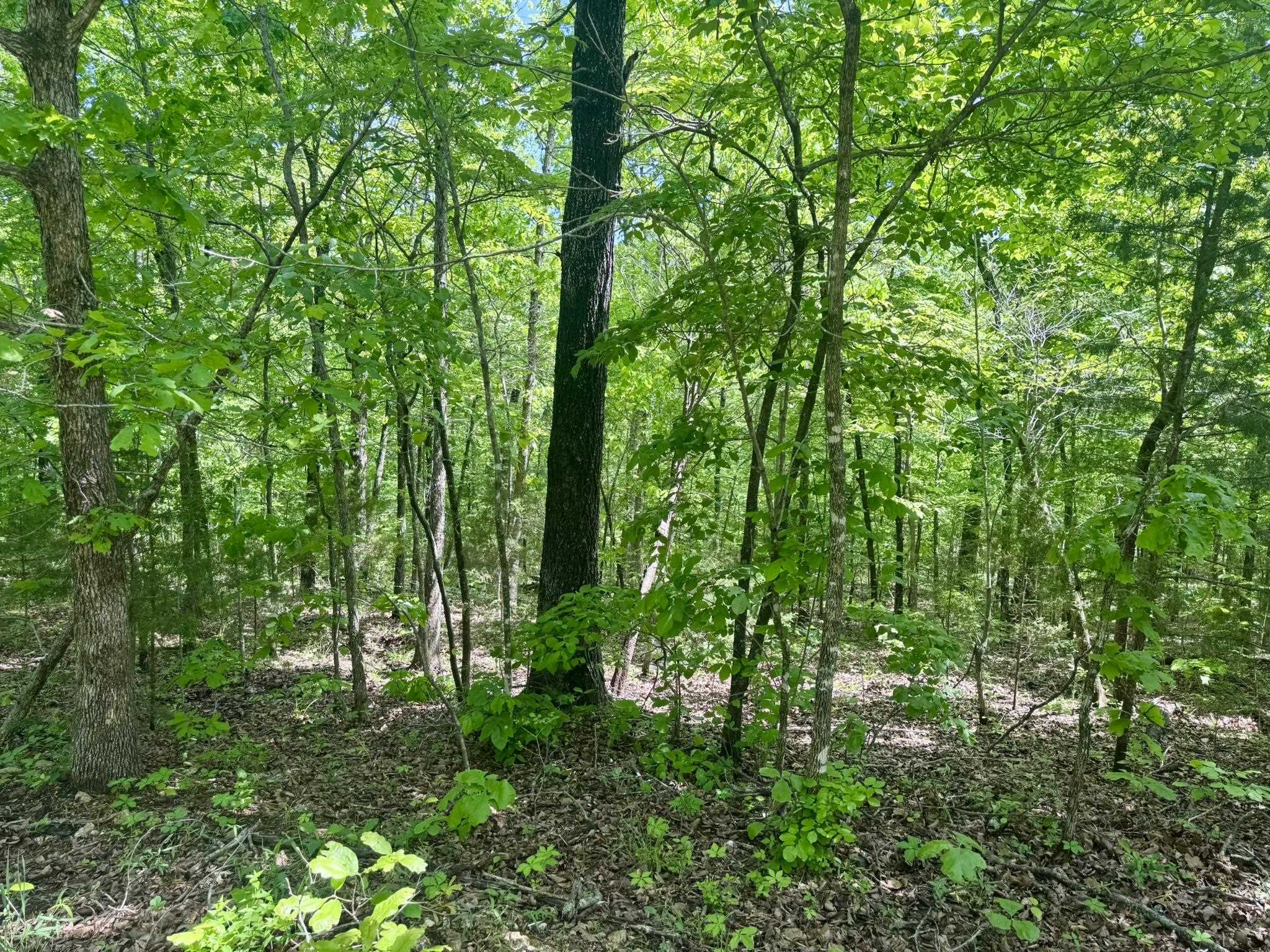 10A Kiowa Circle  Hardy, AR