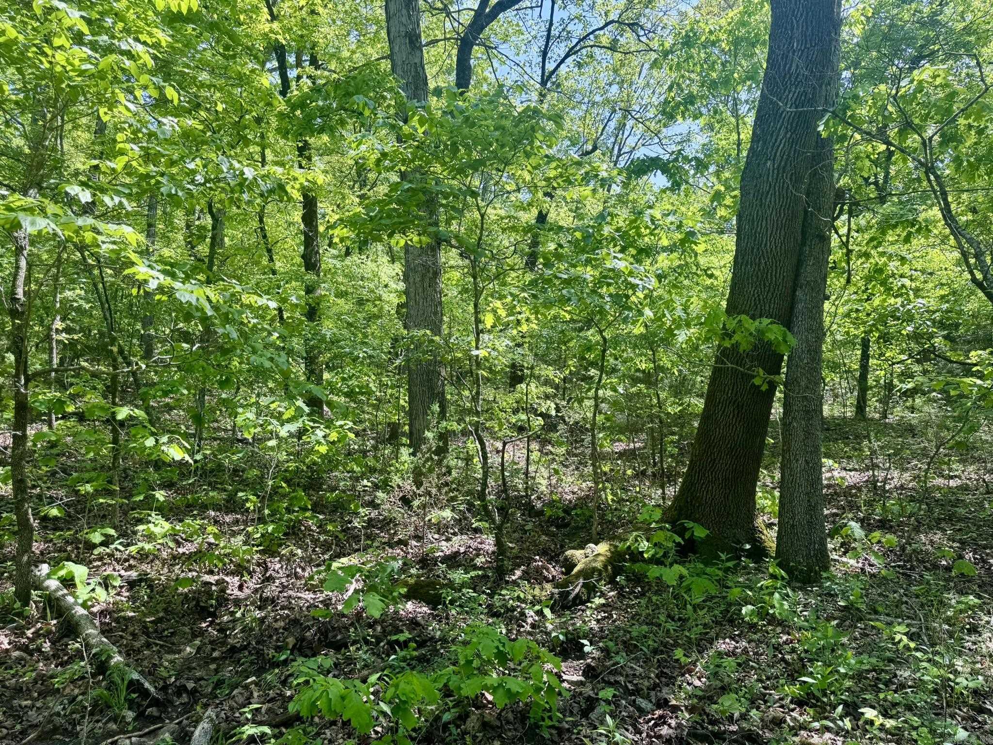 10A  Kiowa Circle  Hardy, AR