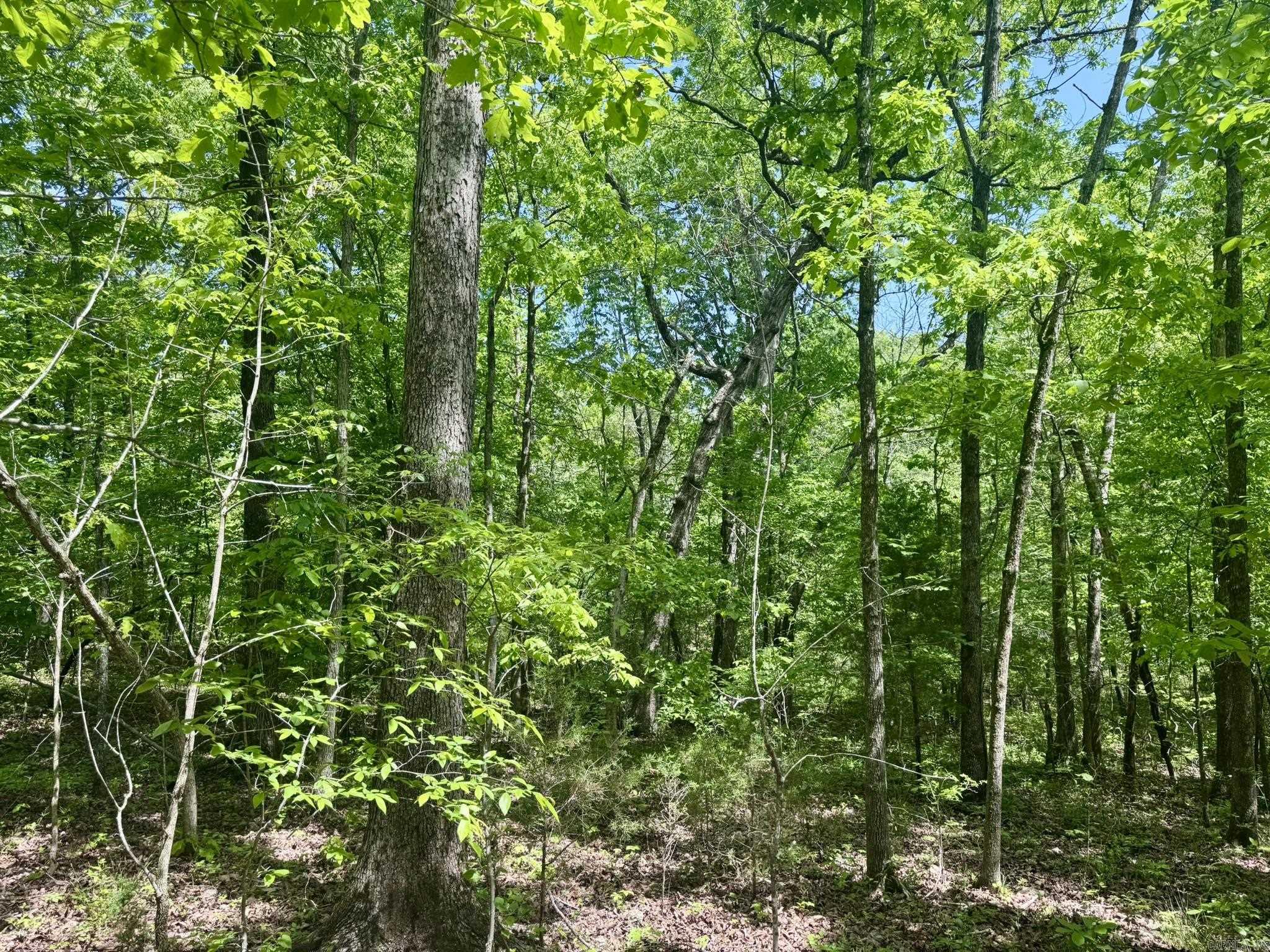 10A  Kiowa Circle  Hardy, AR