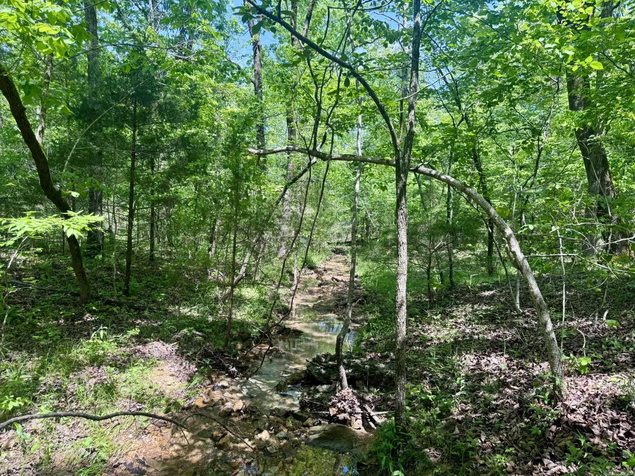 10A  Kiowa Circle  Hardy, AR