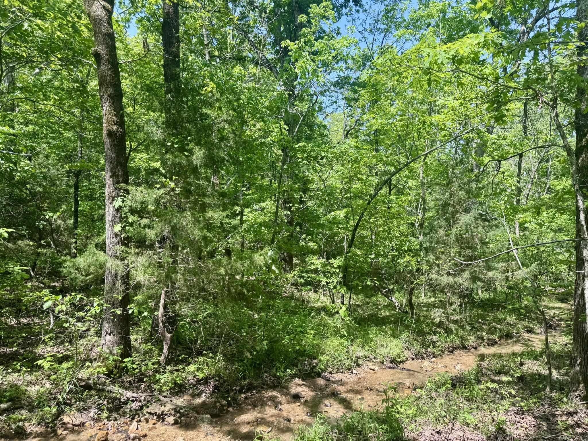 10A  Kiowa Circle  Hardy, AR