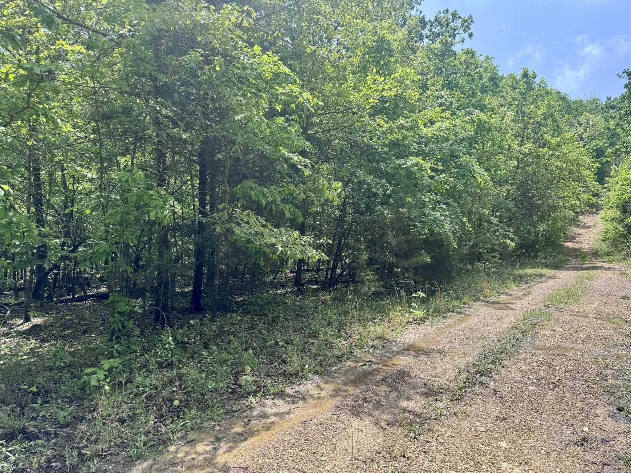 10A  Kiowa Circle  Hardy, AR