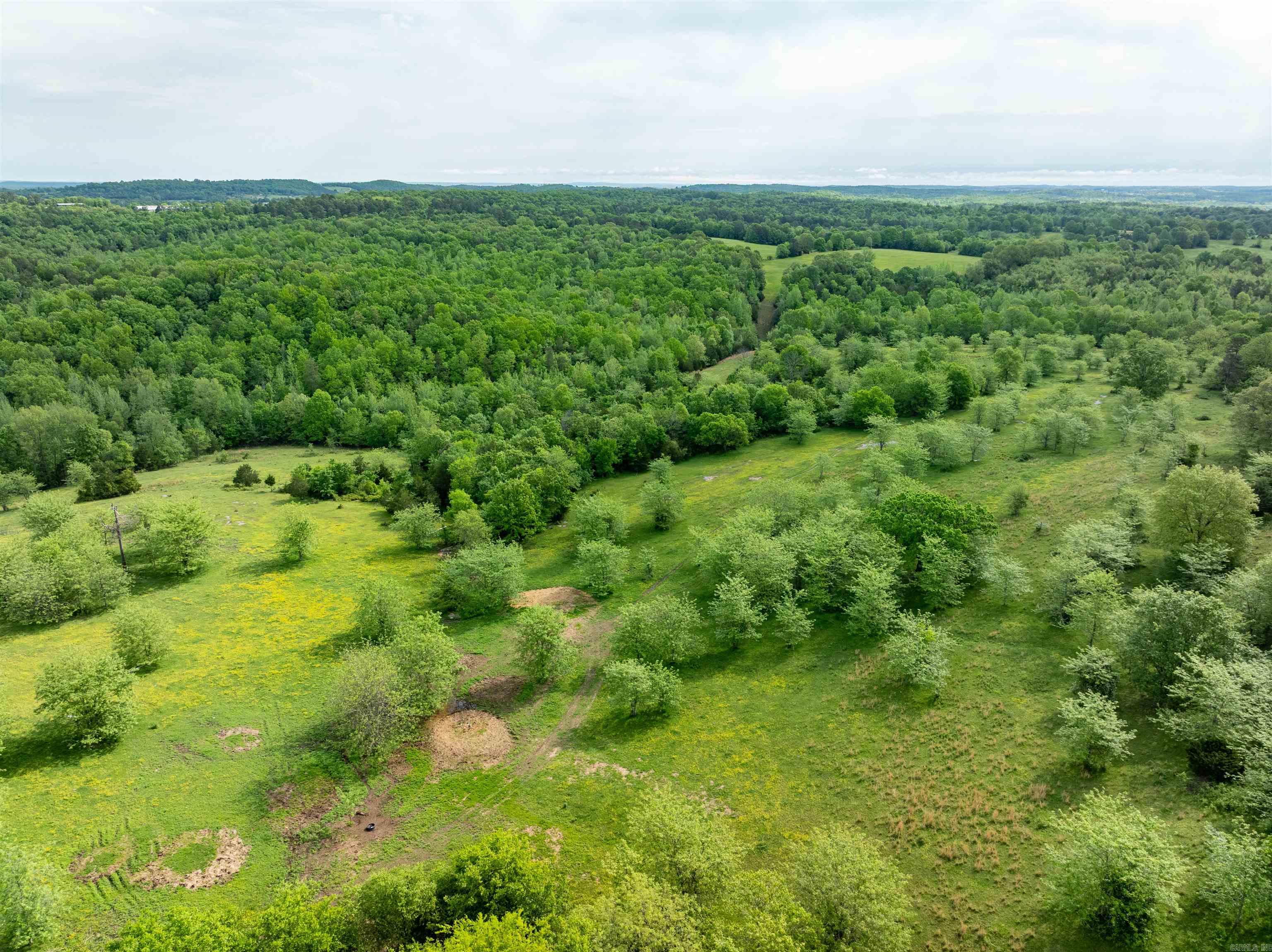 3009 N Main  Mount Pleasant, AR