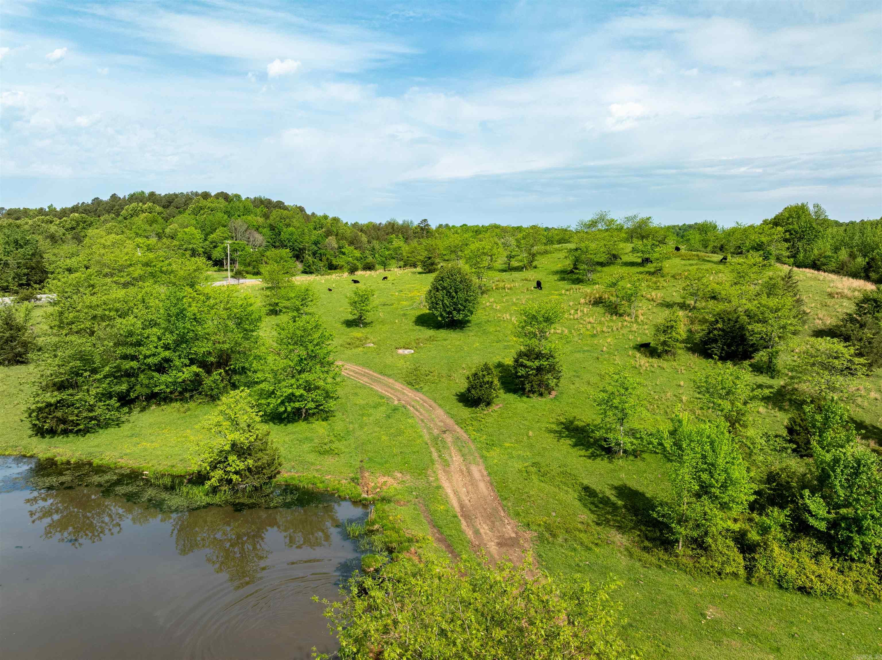 3009 N Main  Mount Pleasant, AR