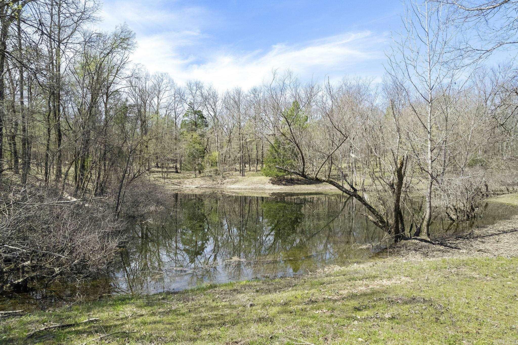 12700 Cabin Creek Loop Lonsdale, AR 72087
