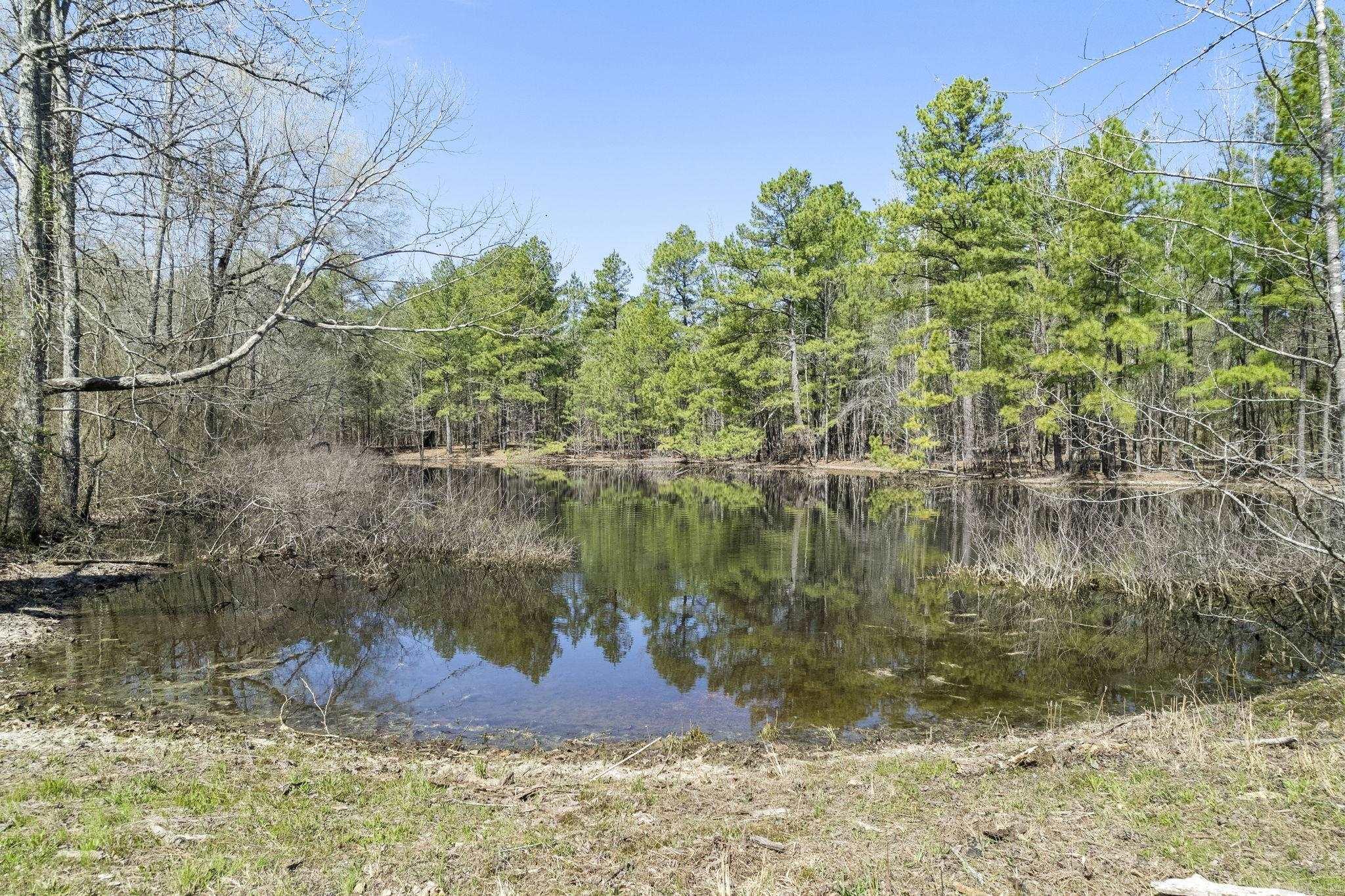 12700 Cabin Creek Loop Lonsdale, AR 72087