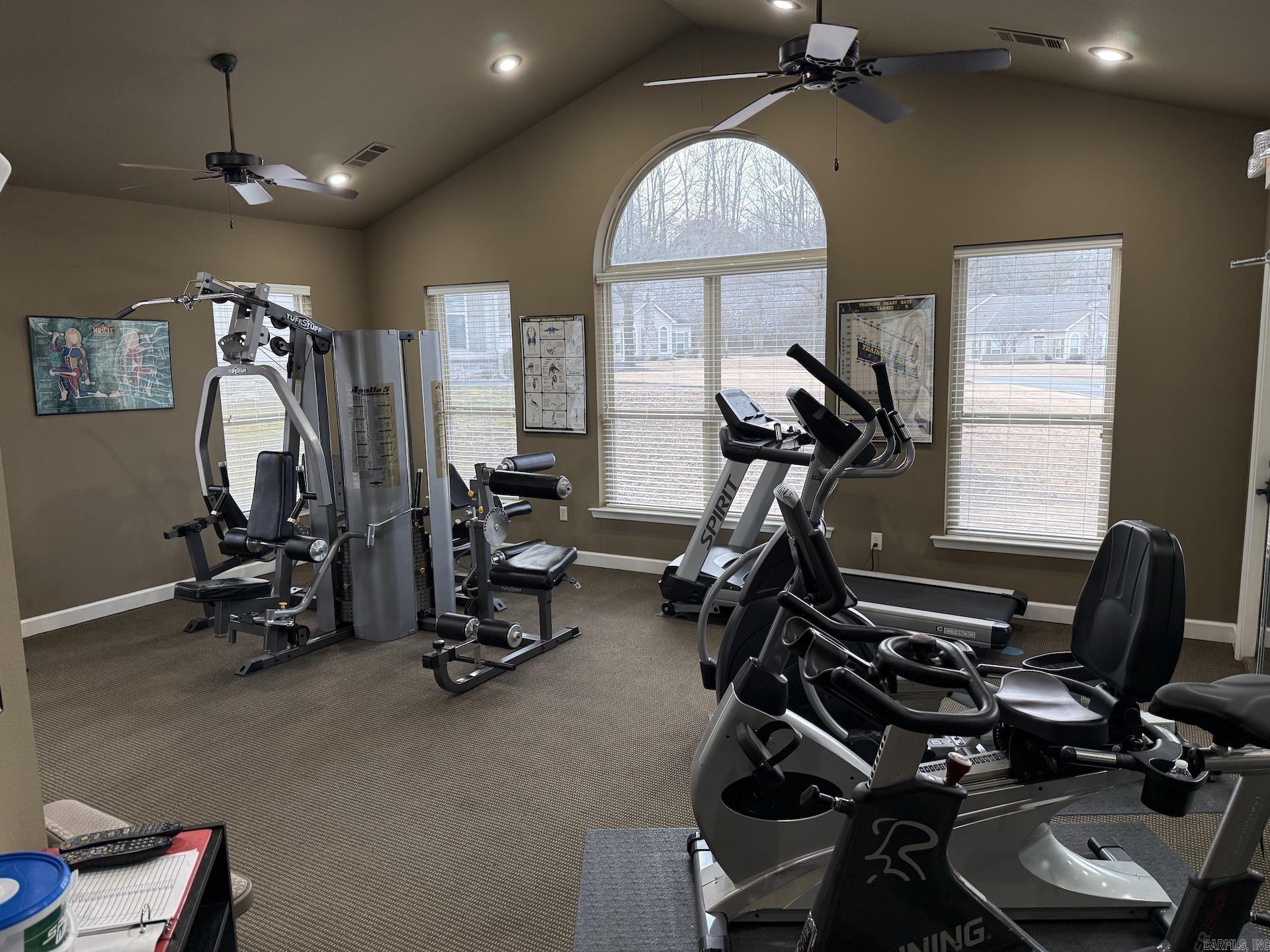 318  Mountain Terrace  Maumelle, AR