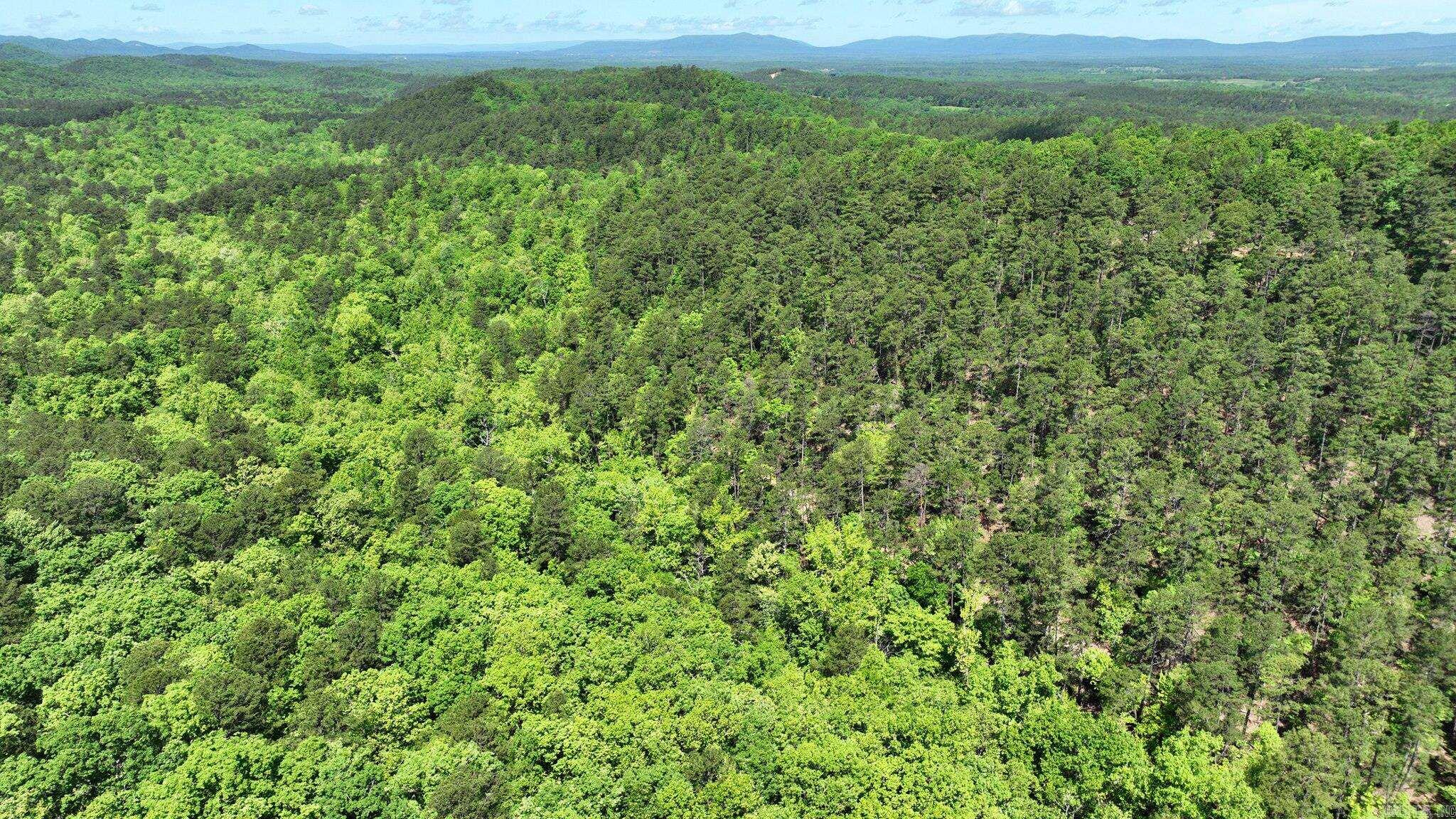 TBD (Lot 1)  Heather Lane  Mena, AR