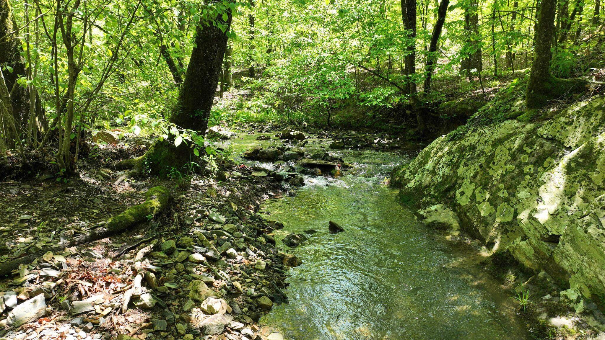 TBD (Lot 1)  Heather Lane  Mena, AR