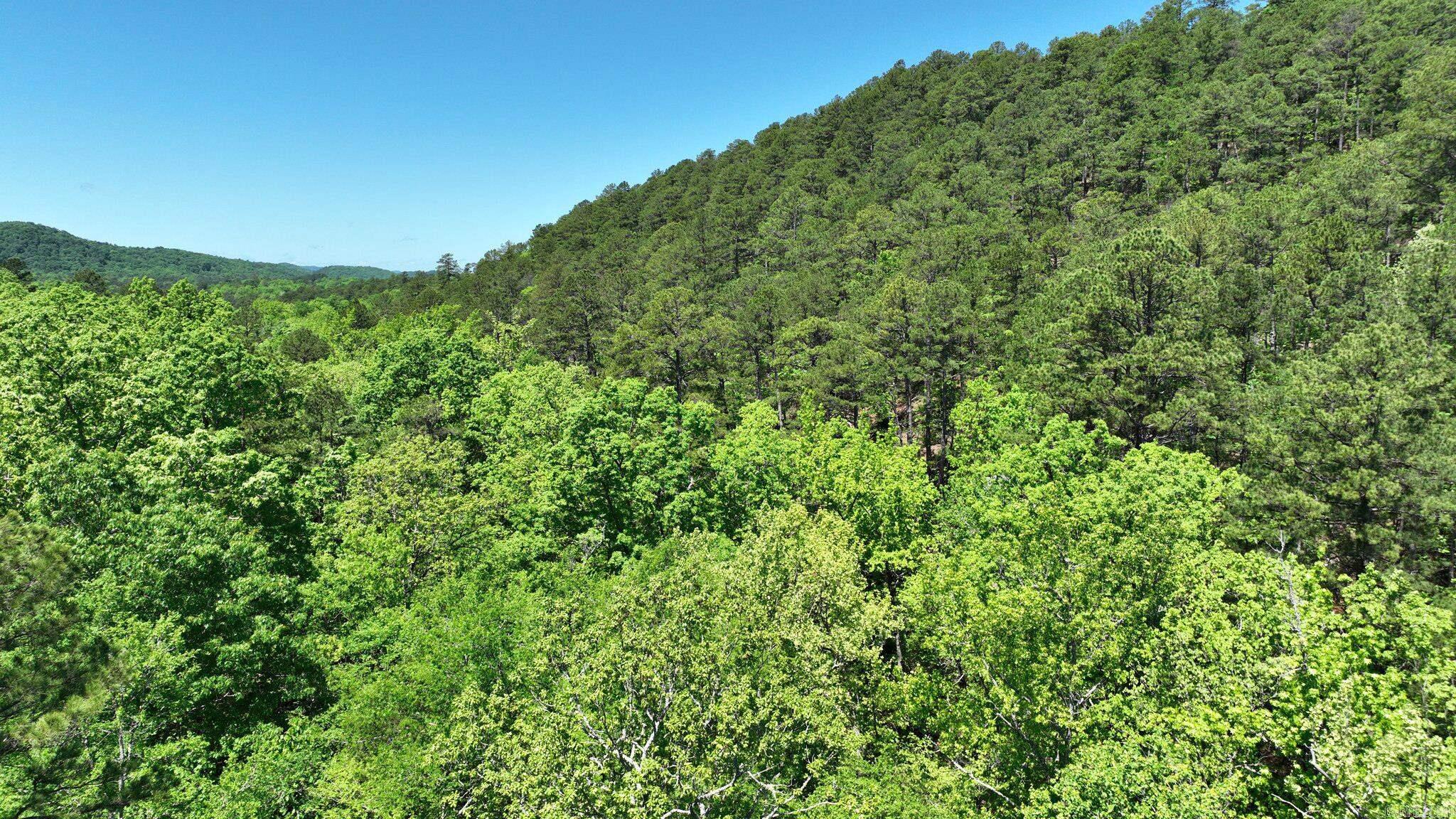 TBD (Lot 1)  Heather Lane  Mena, AR