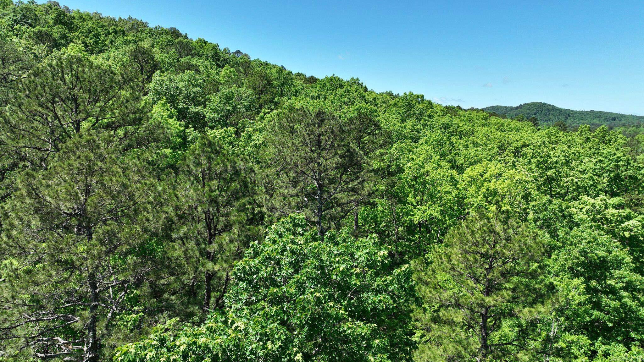 TBD (Lot 1)  Heather Lane  Mena, AR