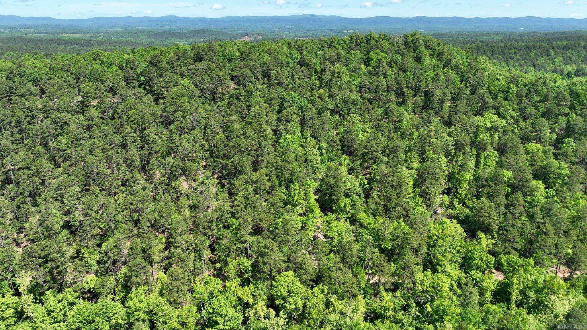 TBD (Lot 1)  Heather Lane  Mena, AR