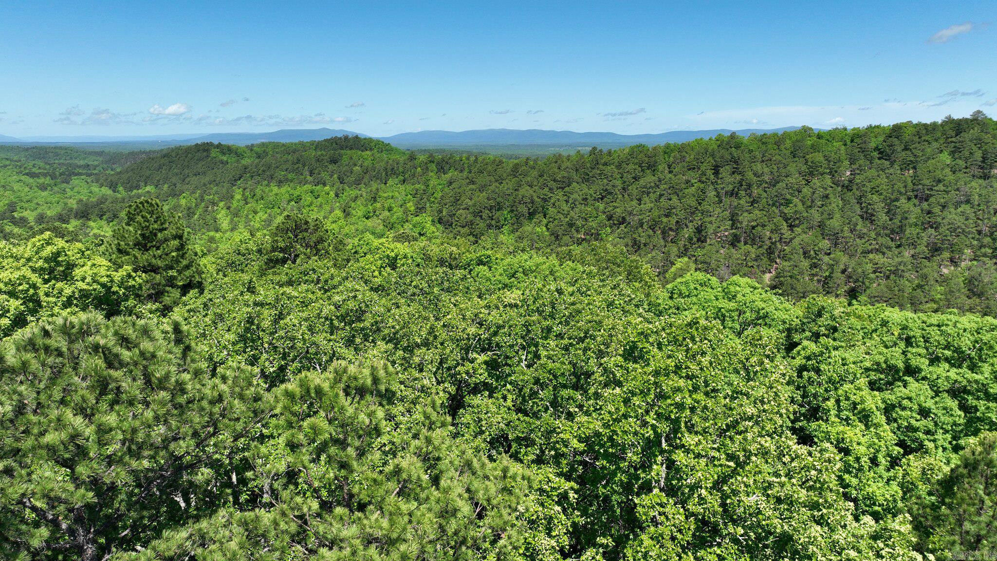 TBD (Lot 1)  Heather Lane  Mena, AR